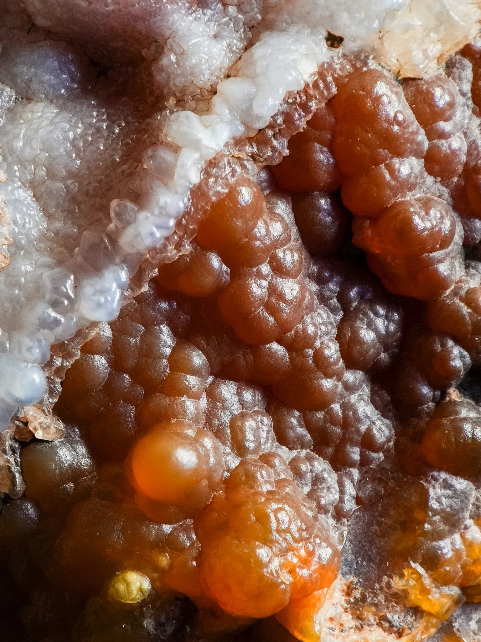 2026-02-26 15-48-14 (B,R8,S1).jpg