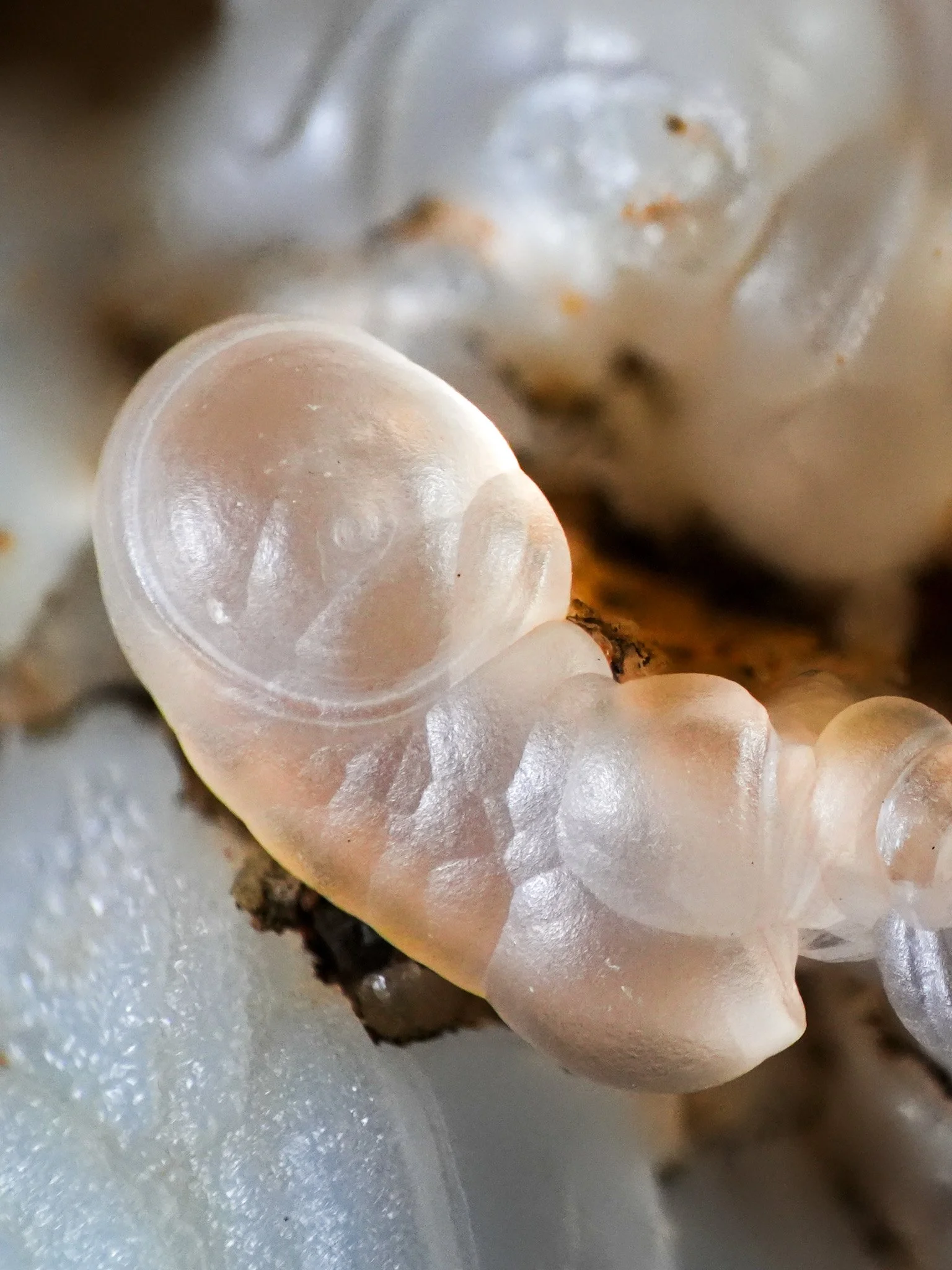 2026-01-02 12-16-37 (B,R8,S4).jpg