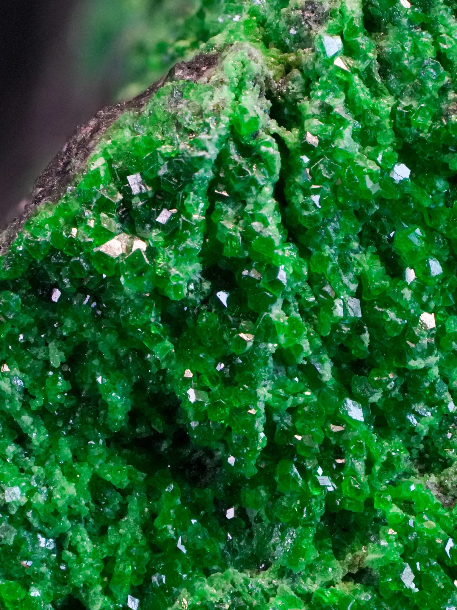 2026-04-20 13-06-51 (B,R8,S4) 2.jpg