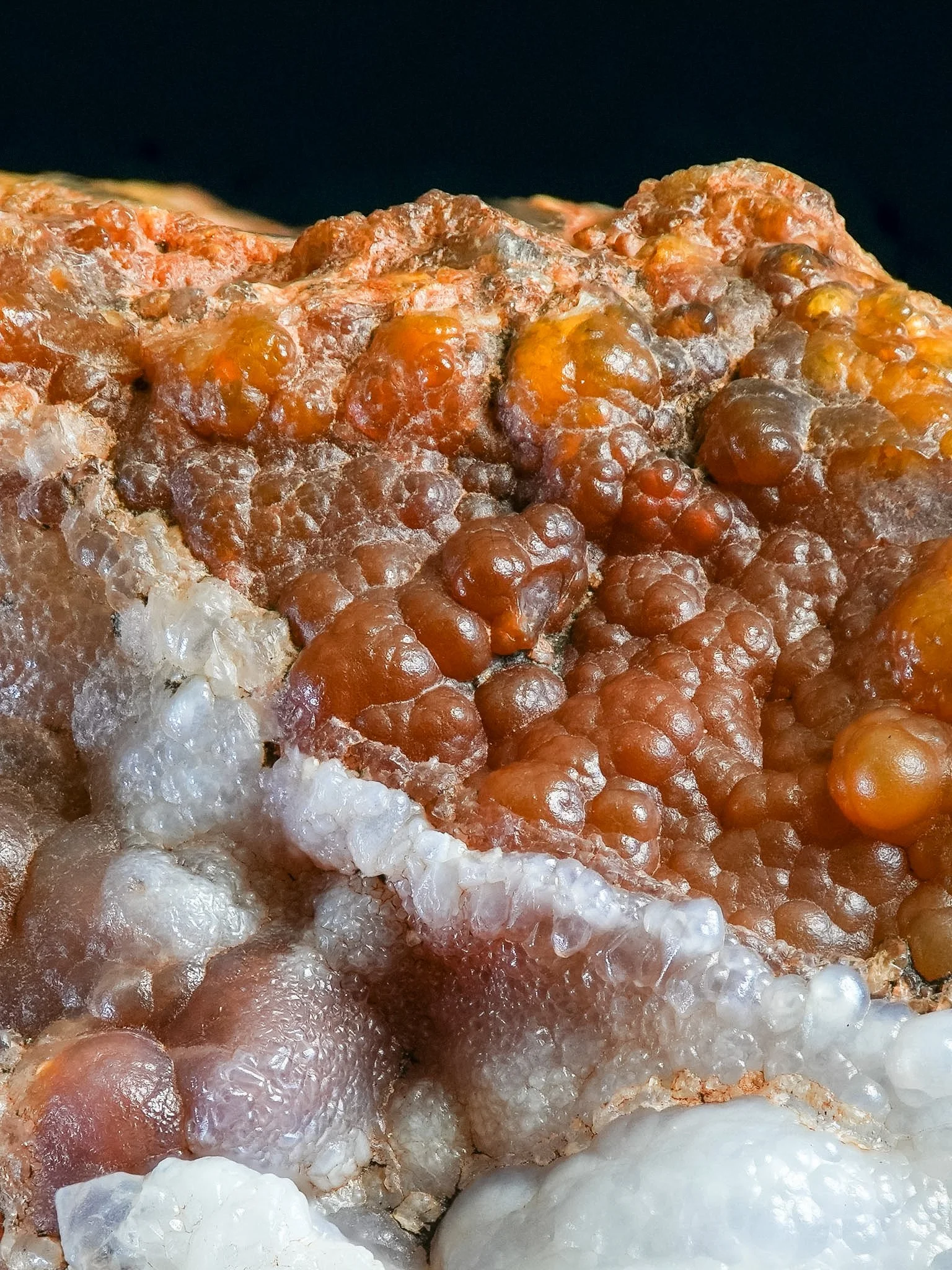 2026-02-26 15-19-54 (B,R8,S1).jpg