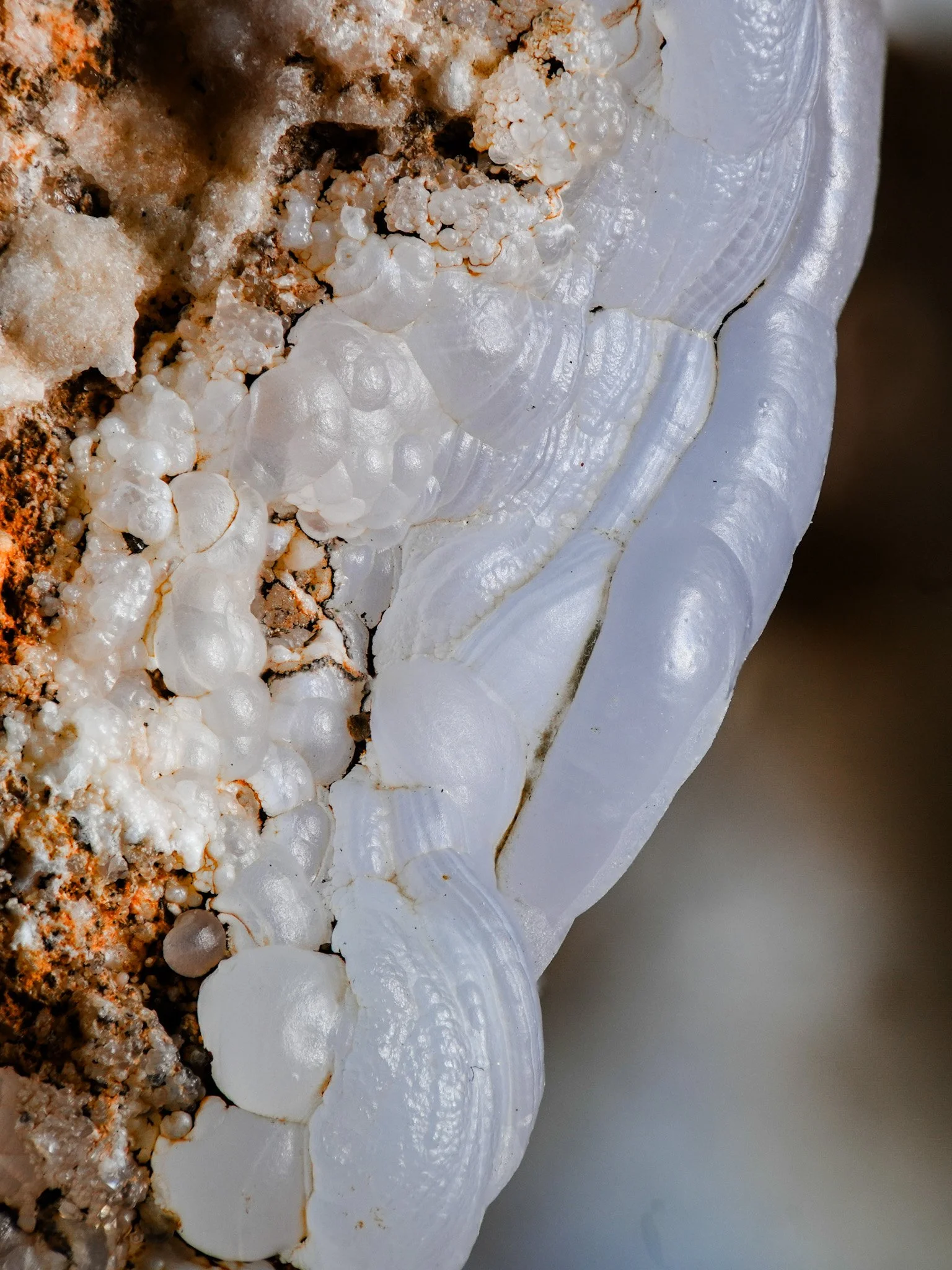 2026-02-12 13-33-26 (B,R8,S1) 2.jpg