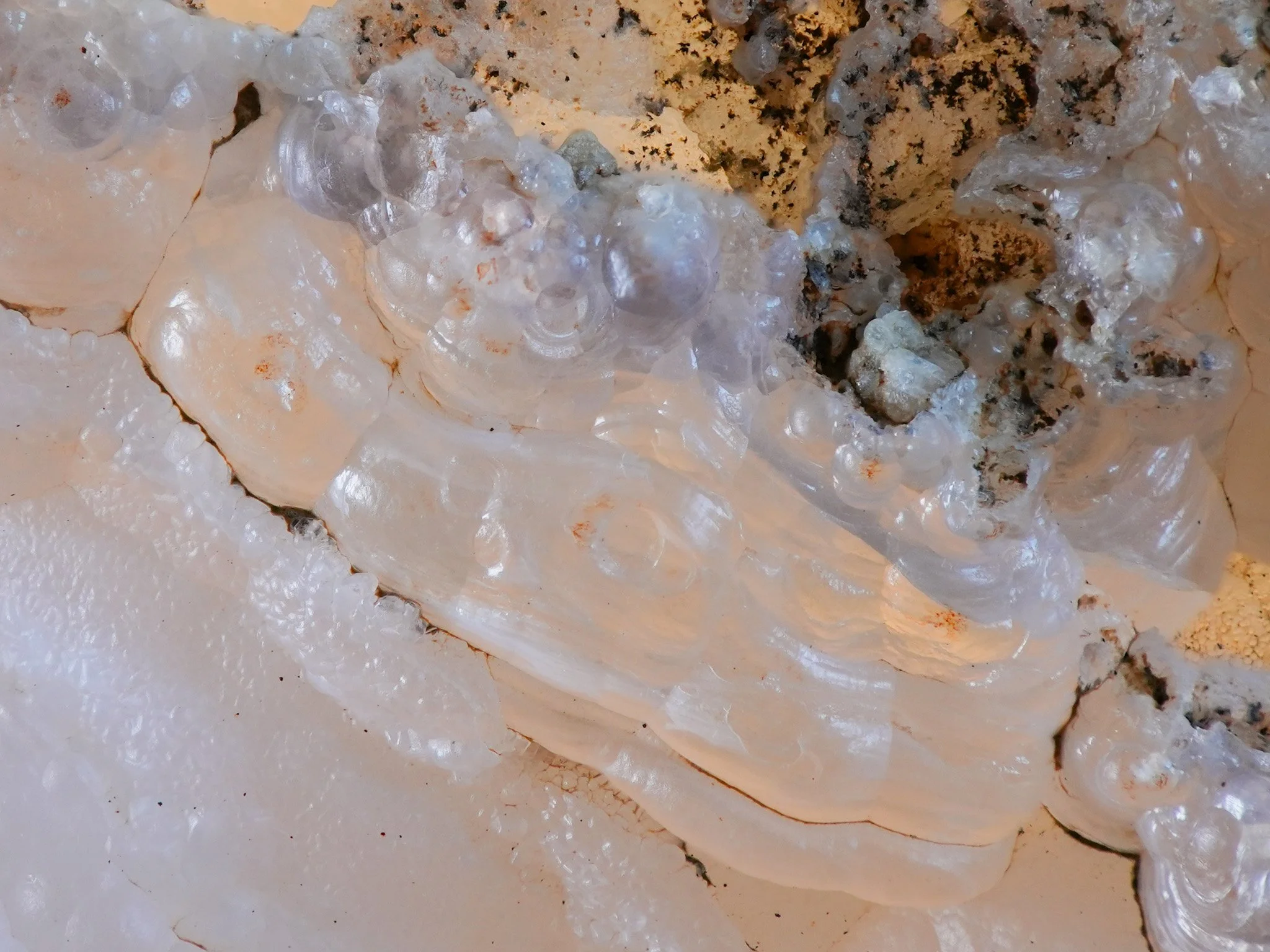 2026-01-29 14-40-02 (B,R8,S4).jpg