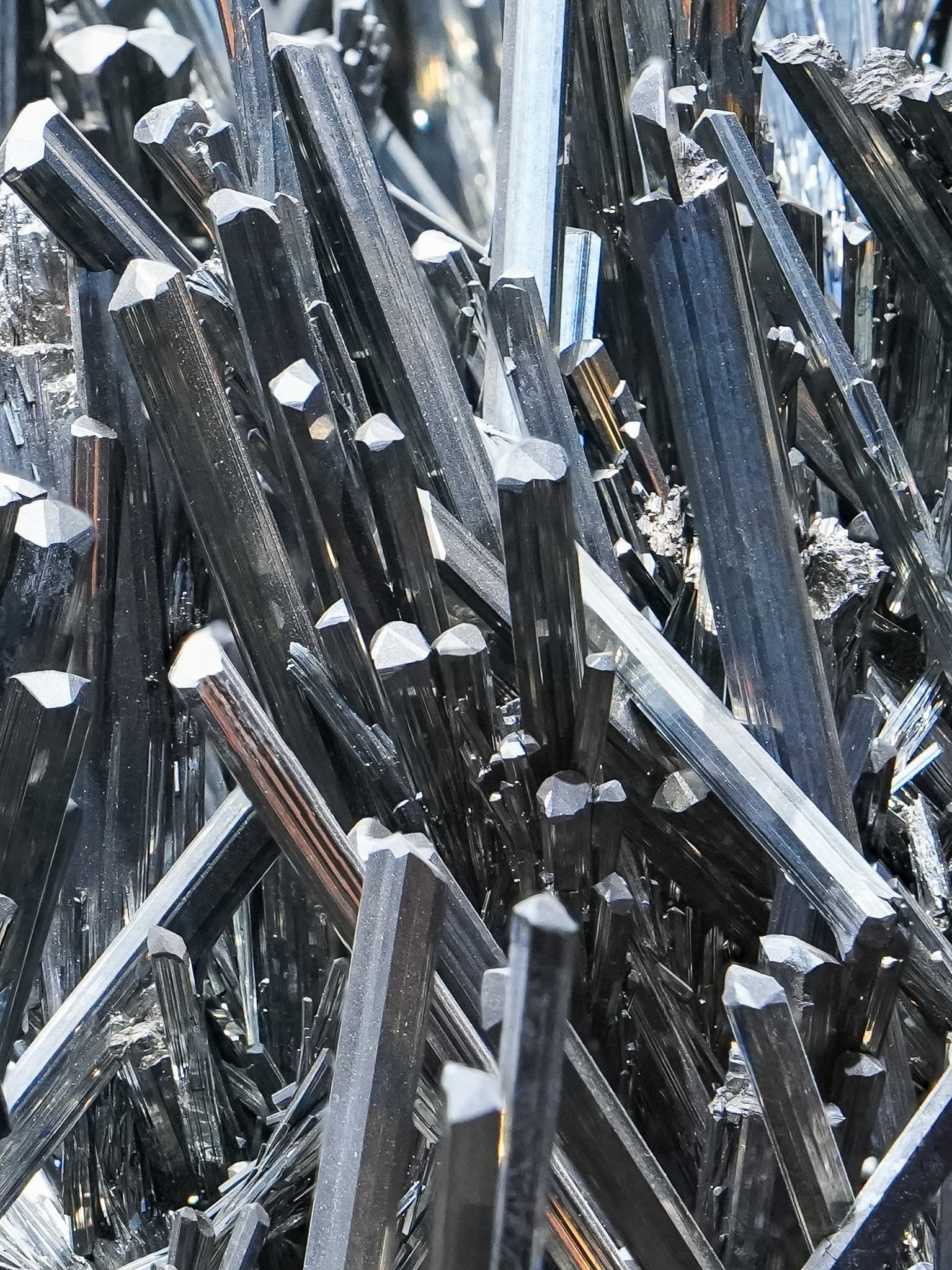 2026-02-27 12-36-44 (B,R8,S1).jpg