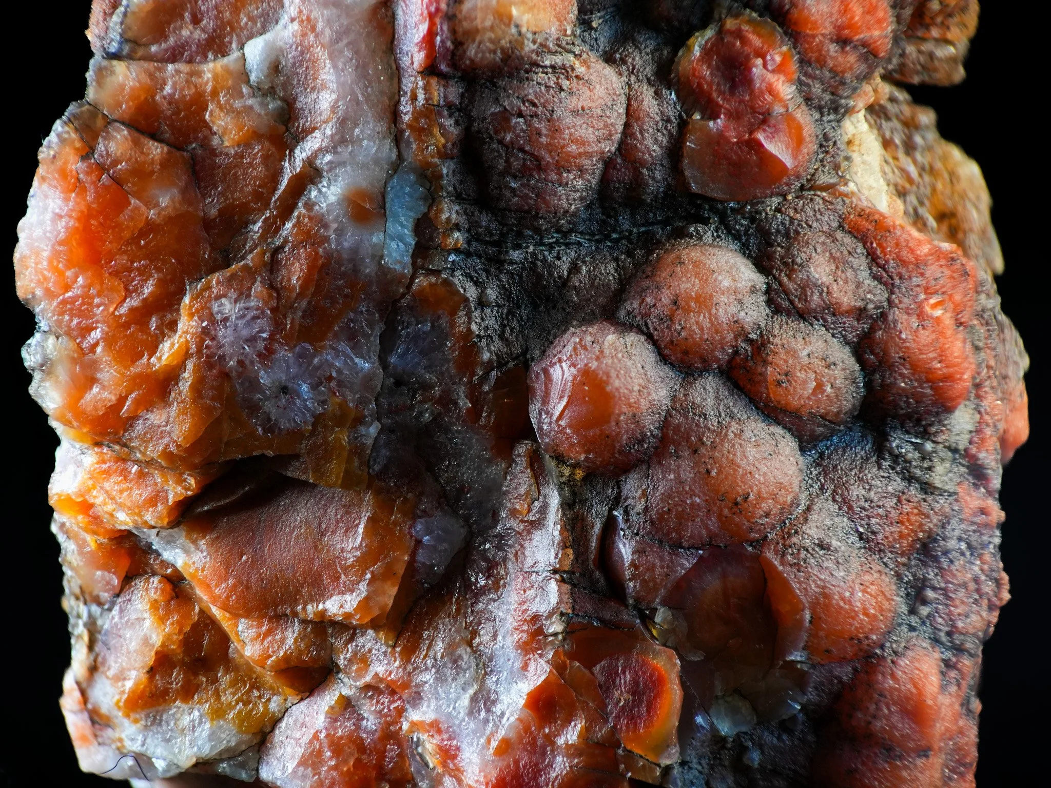 2026-02-19 12-00-12 (B,R8,S1).jpg