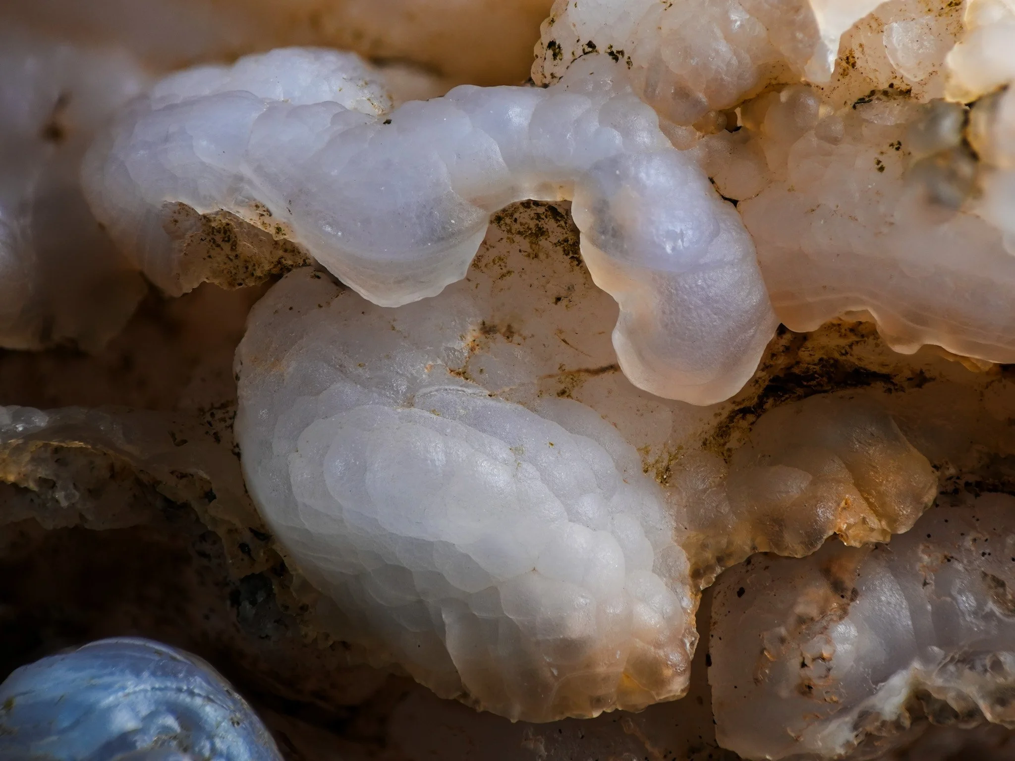 2026-02-06 17-16-08 (B,R8,S4) 2.jpg