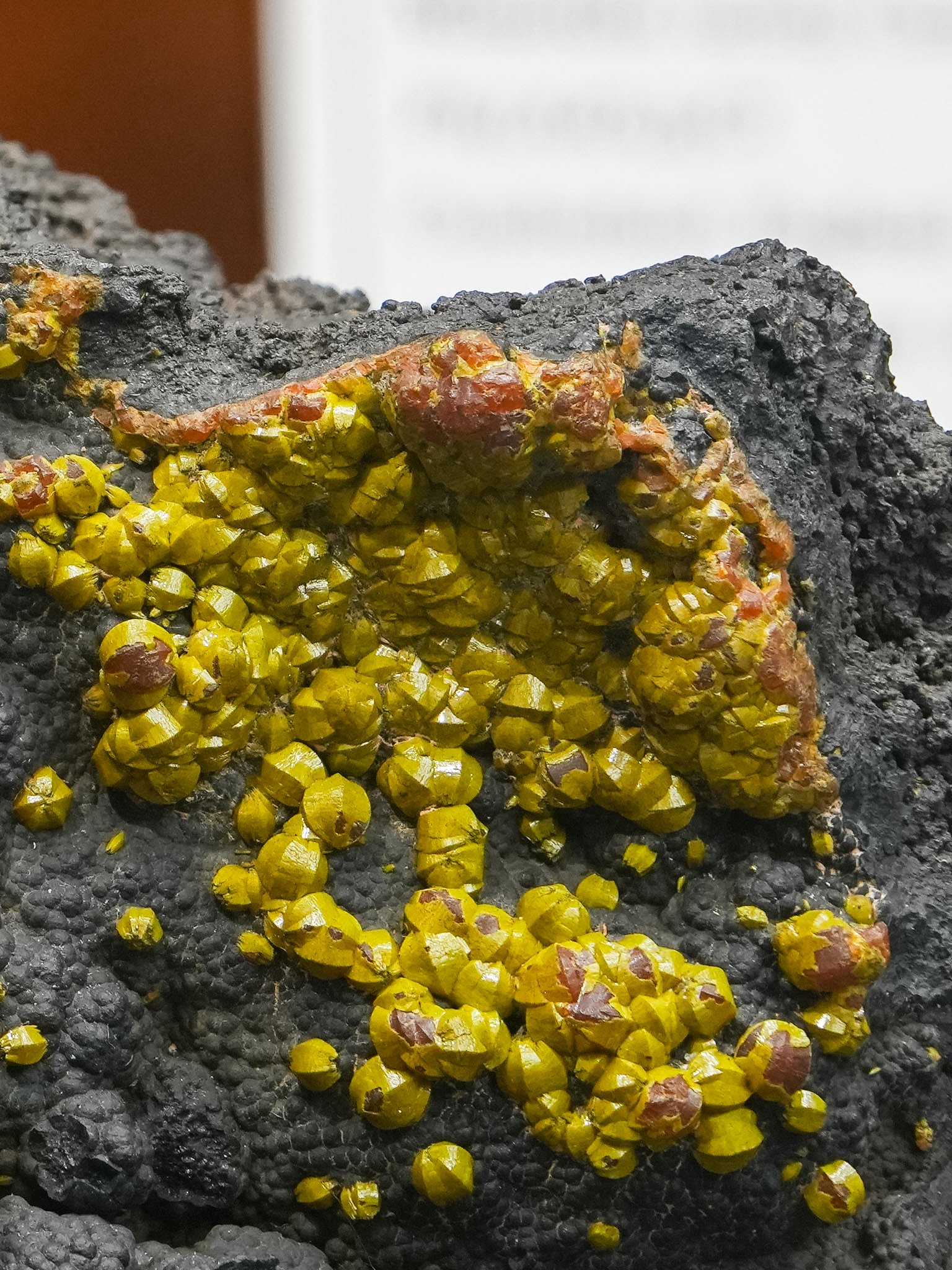 2026-03-05 15-02-14 (B,R8,S1).jpg