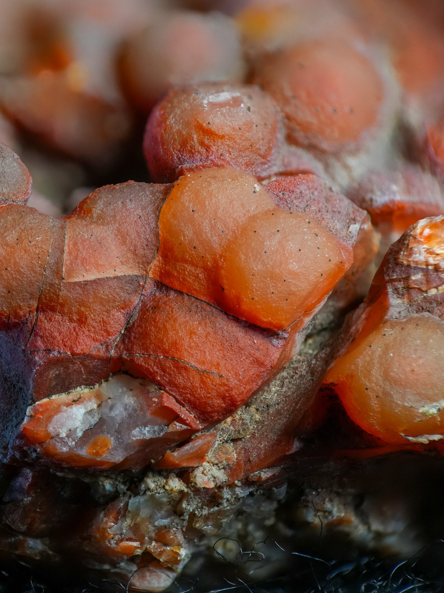 2026-02-19 12-44-41 (B,R8,S1).jpg