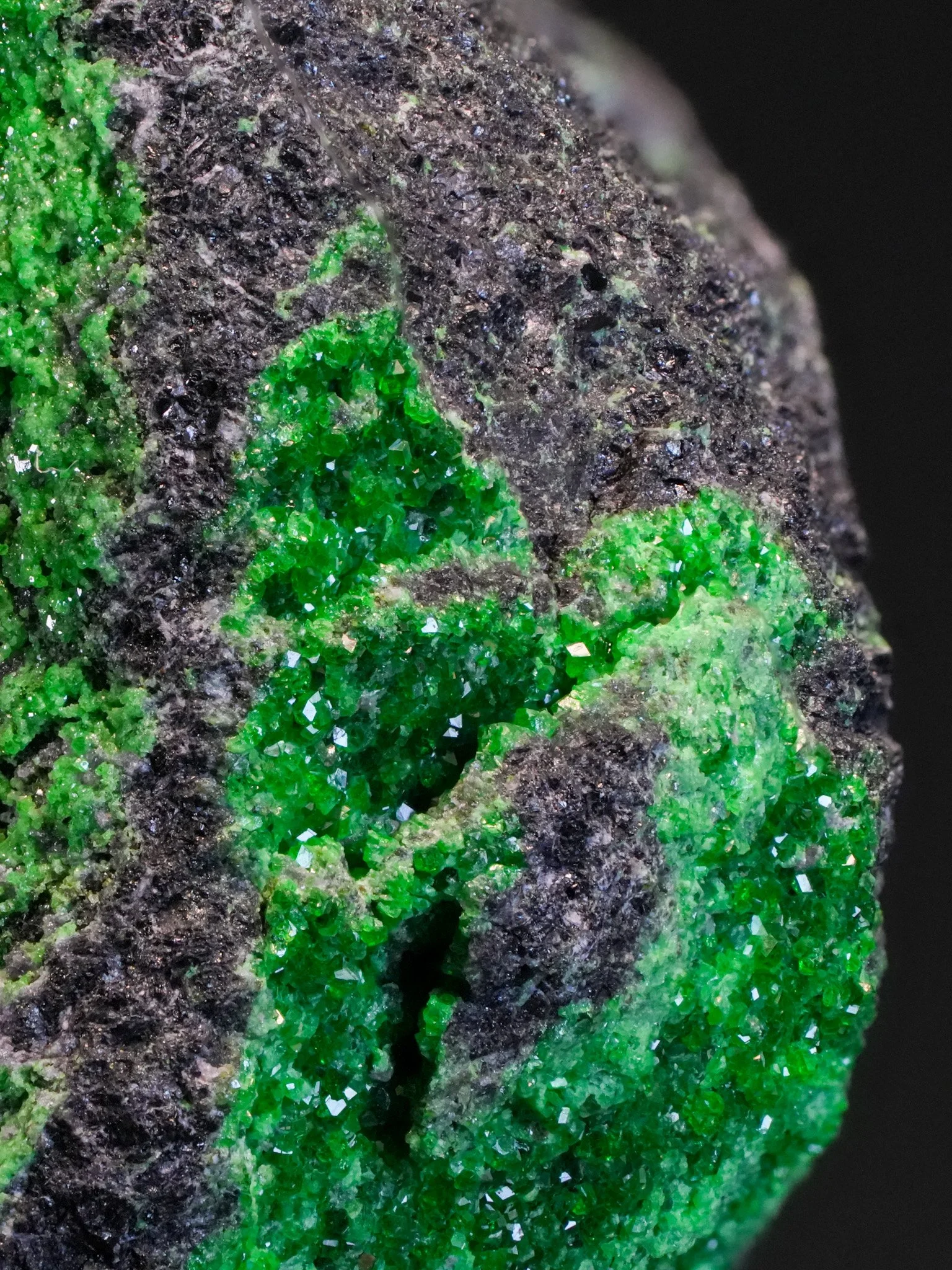 2026-04-20 13-14-04 (B,R8,S4).jpg