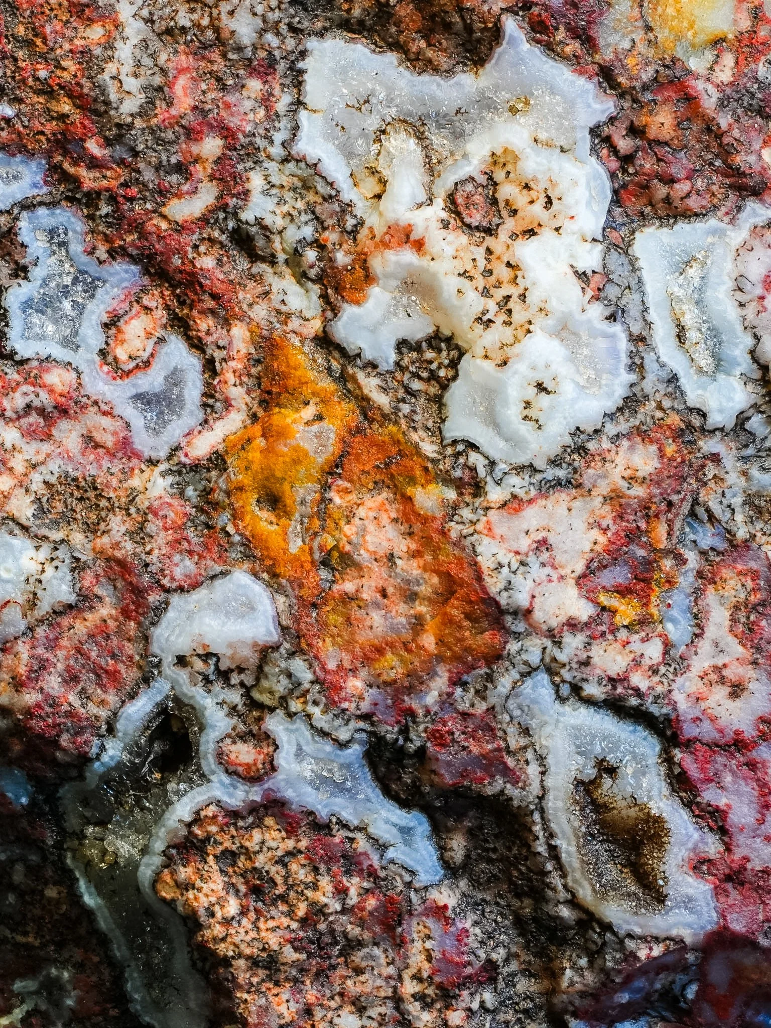 2026-03-19 13-20-55 (B,R8,S1).jpg