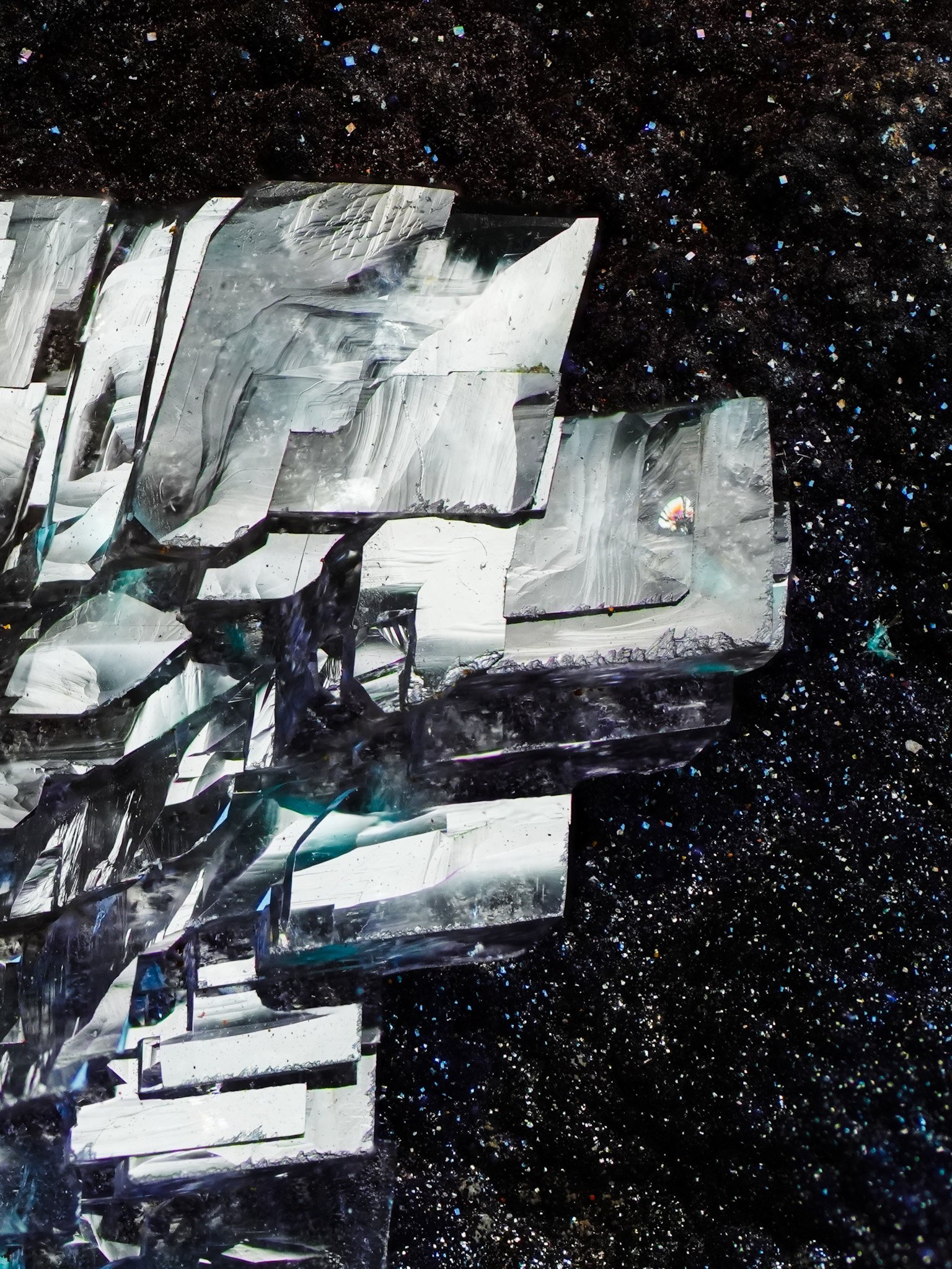 2026-04-09 13-47-30 (B,R8,S1).jpg