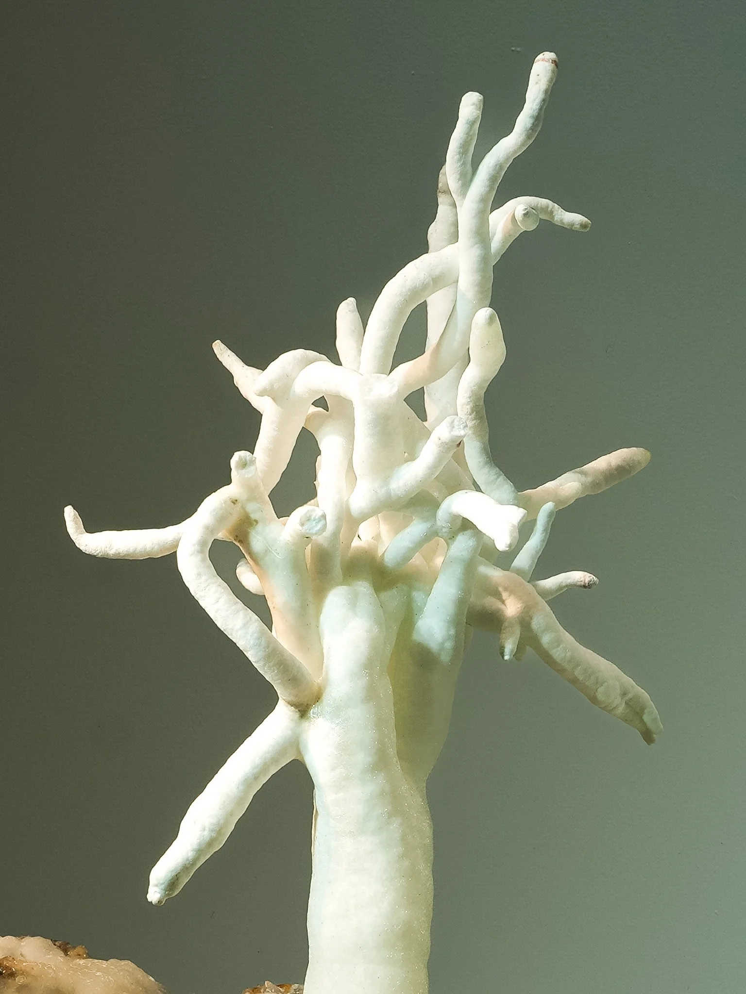 2026-02-27 12-28-19 (B,R8,S1).jpg