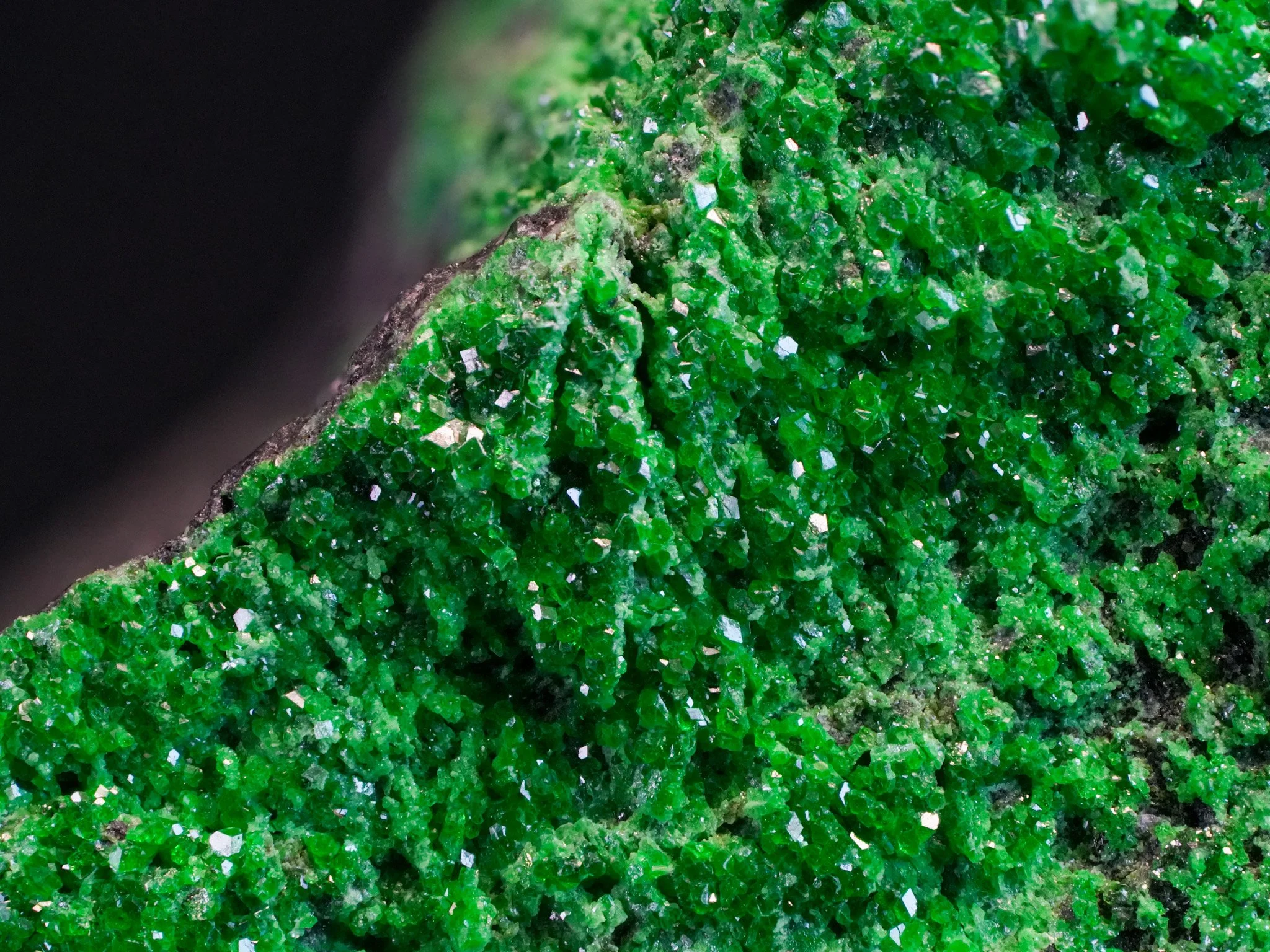 2026-04-20 13-06-51 (B,R8,S4).jpg