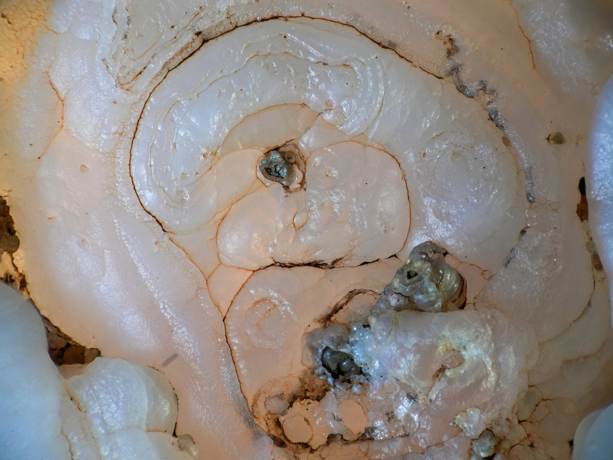 2026-01-07 15-49-54 (B,R8,S4) 3.jpg