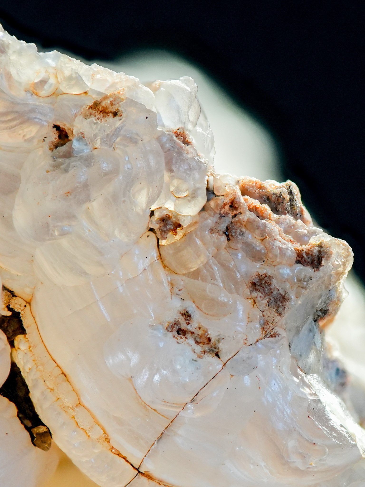 2026-01-29 14-36-25 (B,R8,S4).jpg