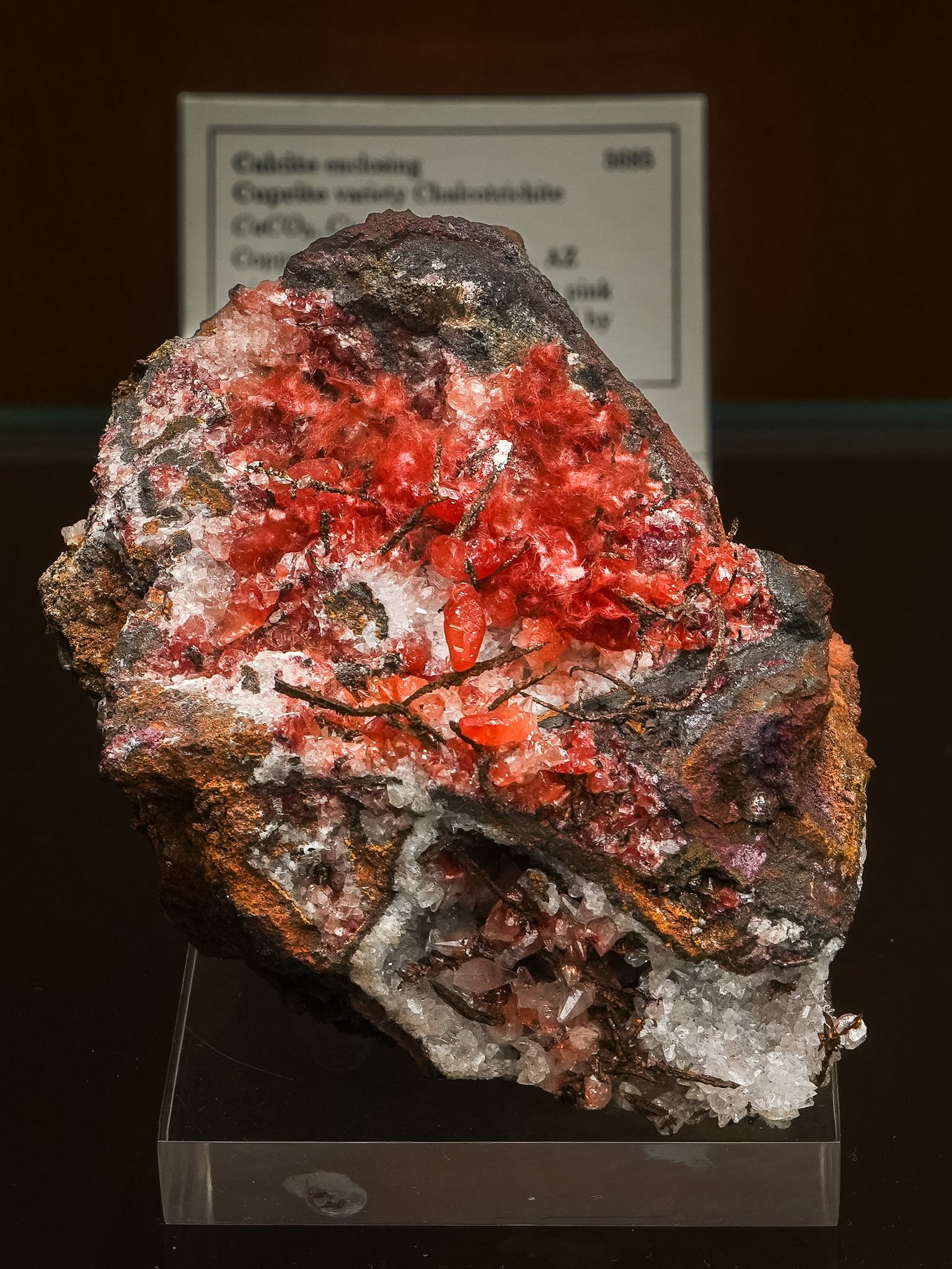 2026-03-05 14-48-07 (B,R8,S1).jpg