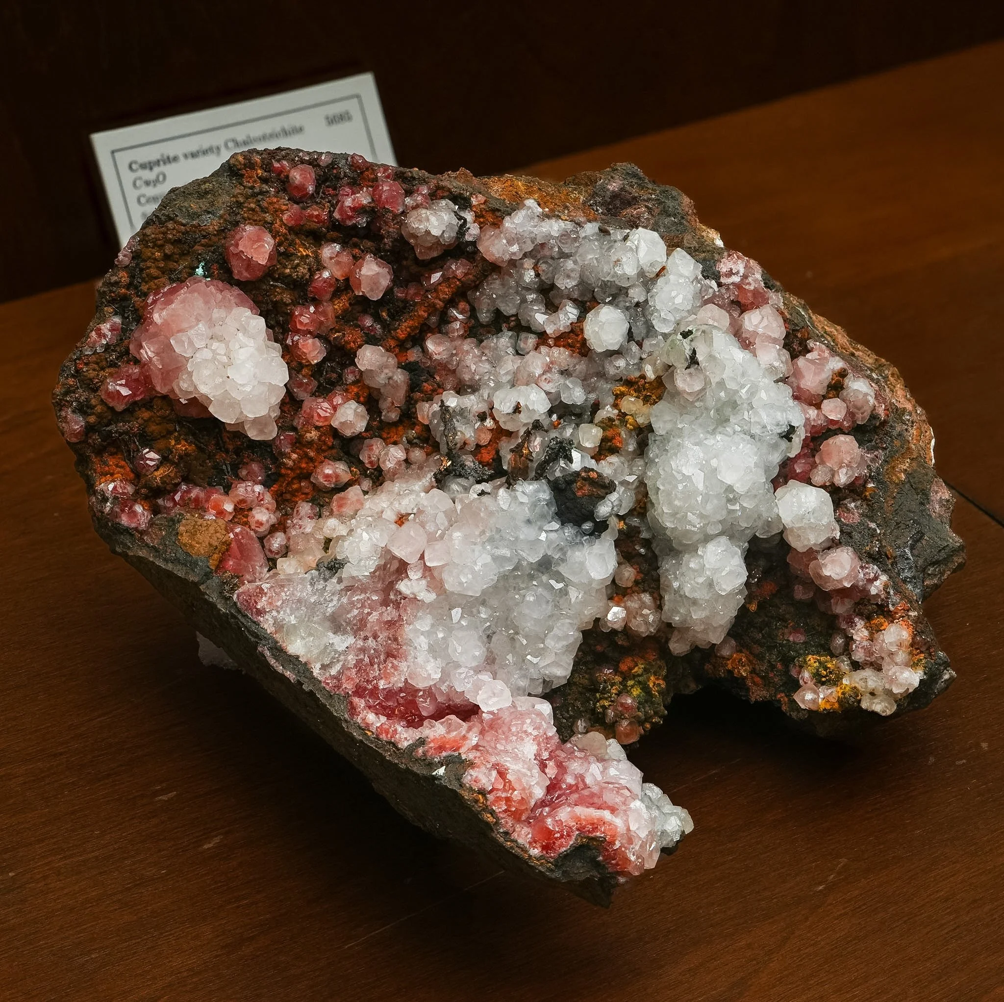 2026-03-05 14-49-28 (B,R8,S1).jpg