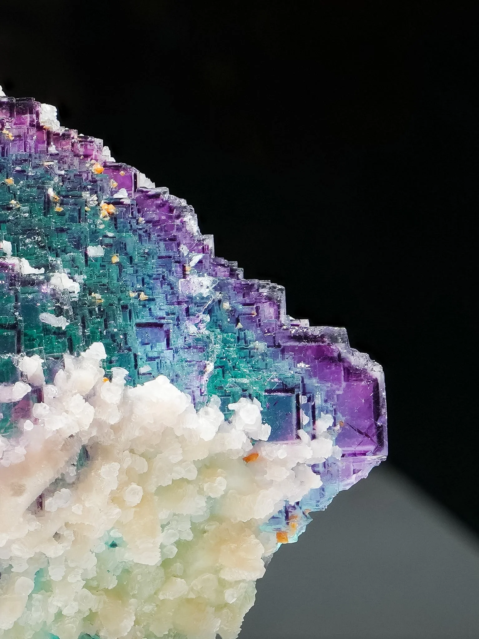 2026-02-27 12-35-03 (B,R8,S1).jpg