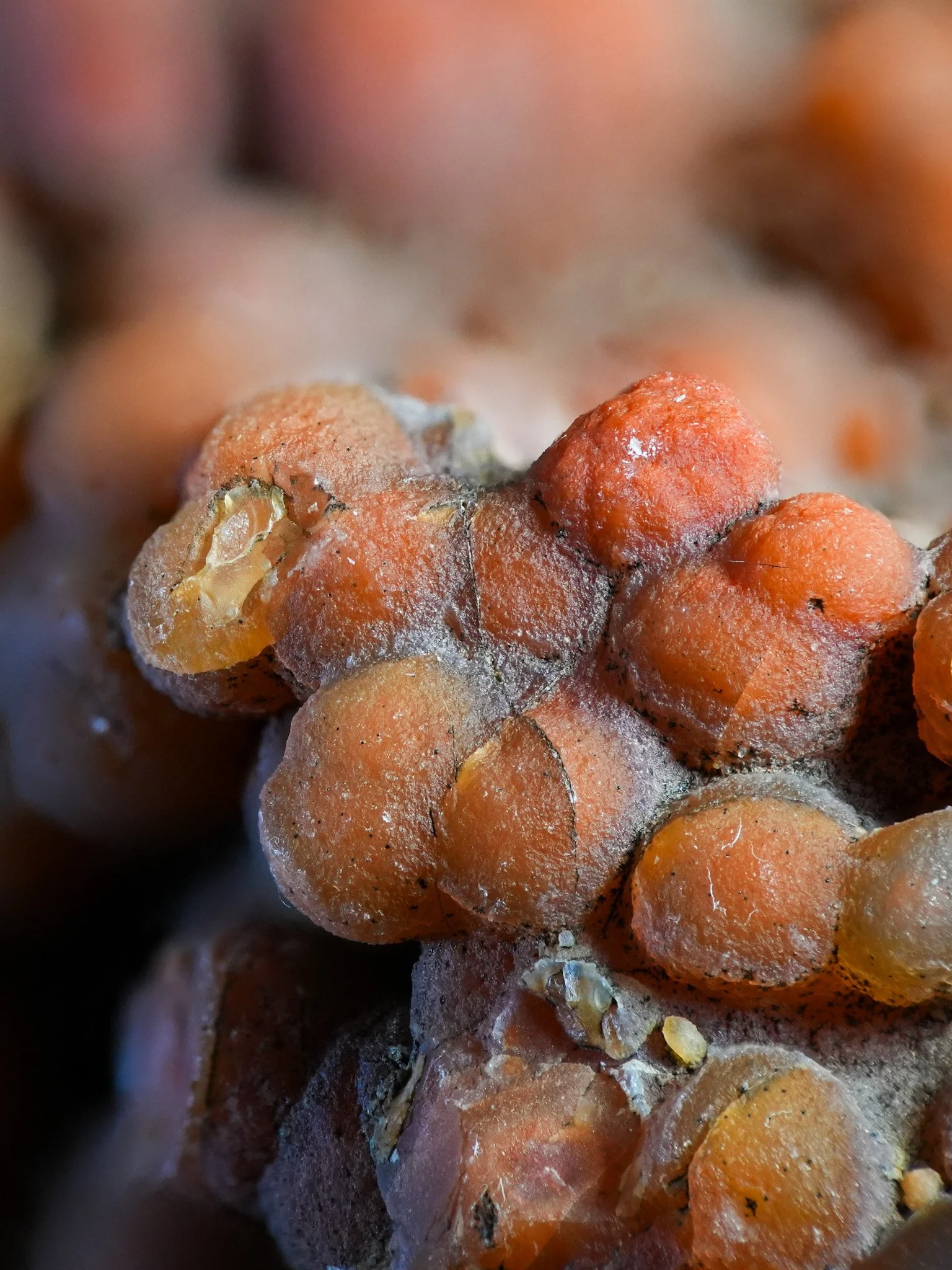 2026-02-19 12-36-07 (B,R8,S1).jpg