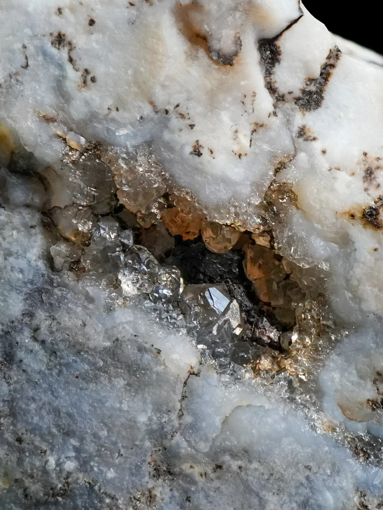 2026-02-17 14-48-34 (B,R8,S1).jpg