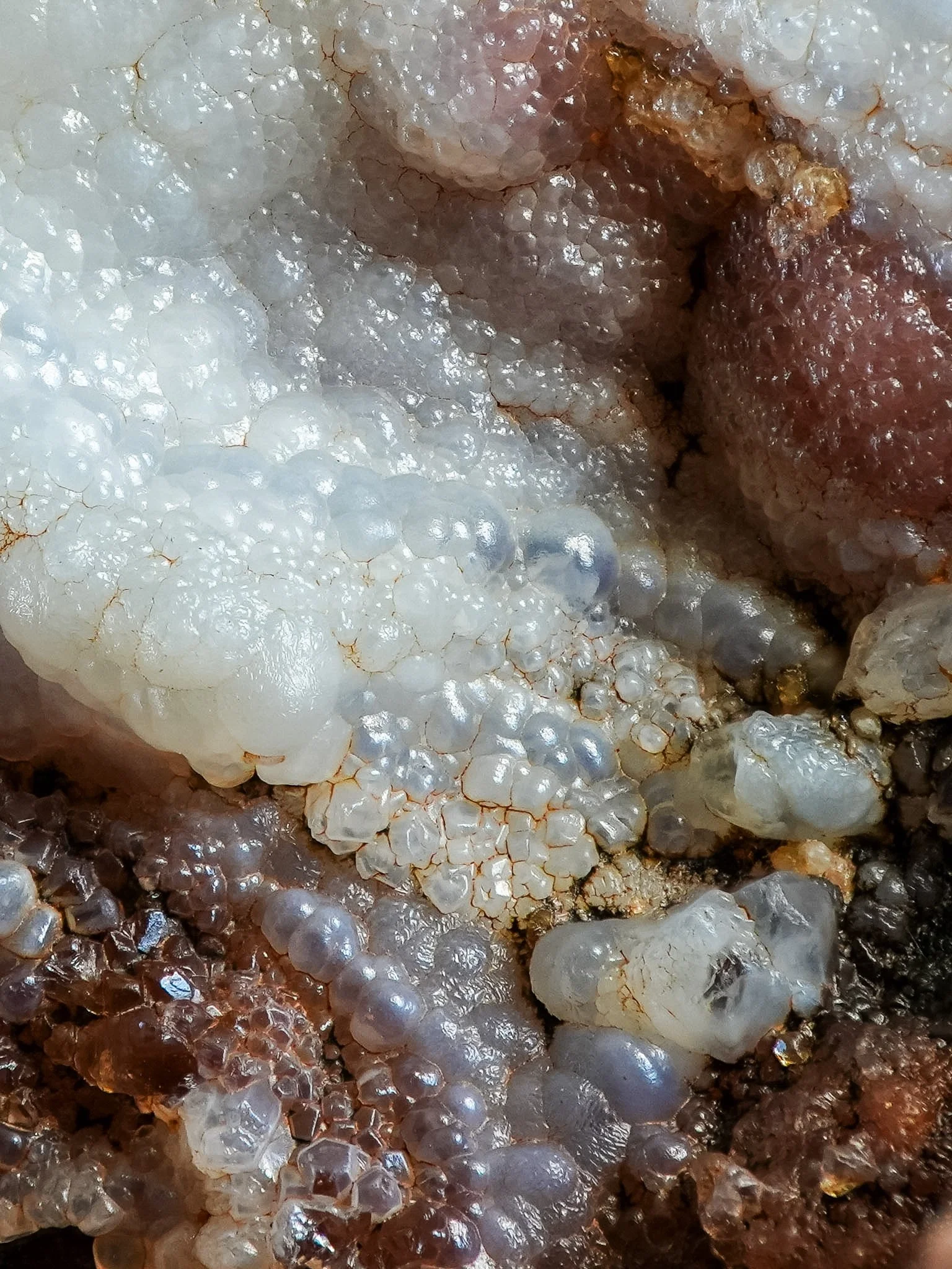 2026-02-26 15-22-17 (B,R8,S1).jpg