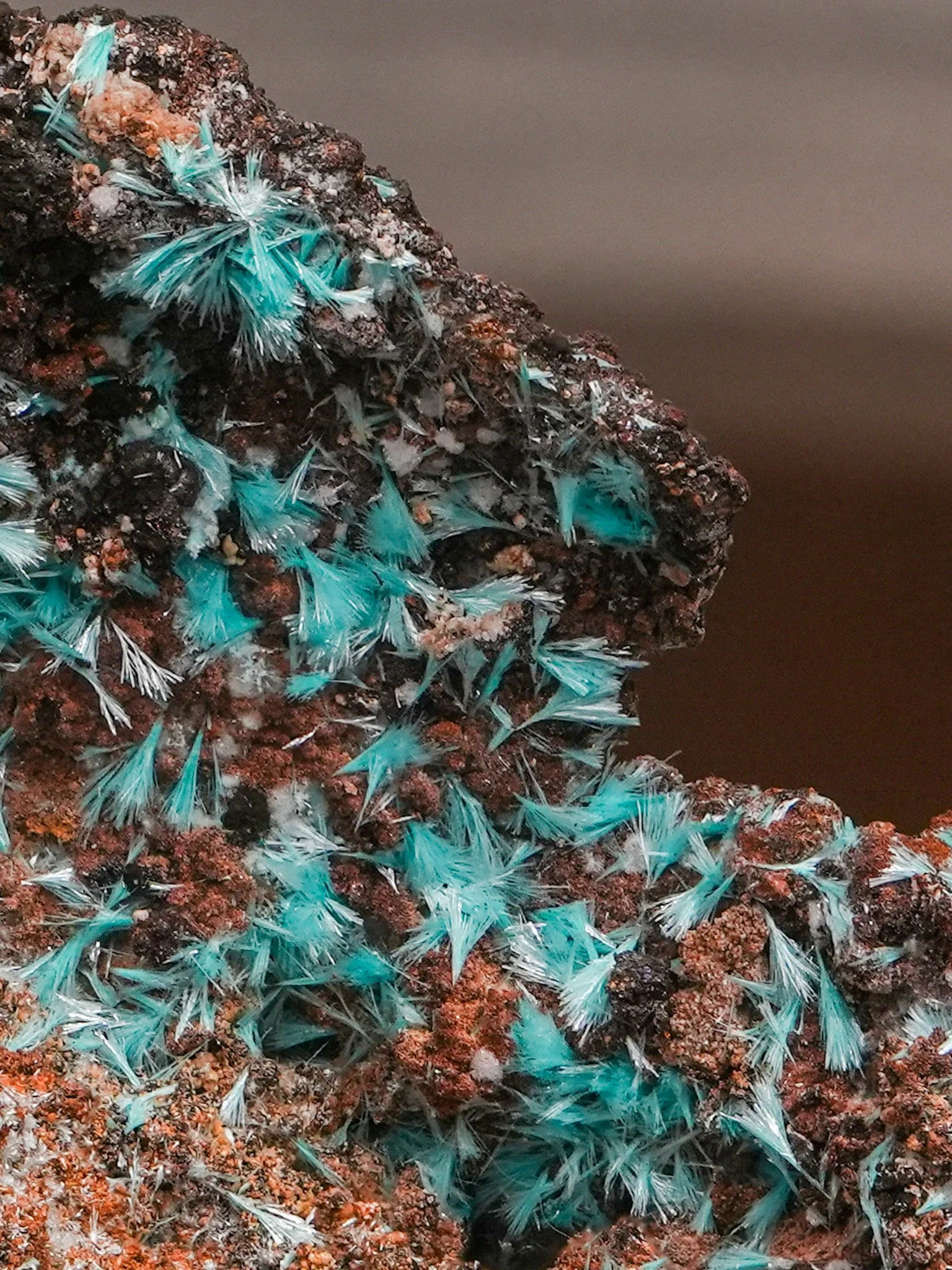 2026-03-05 14-42-13 (B,R8,S1) 2.jpg