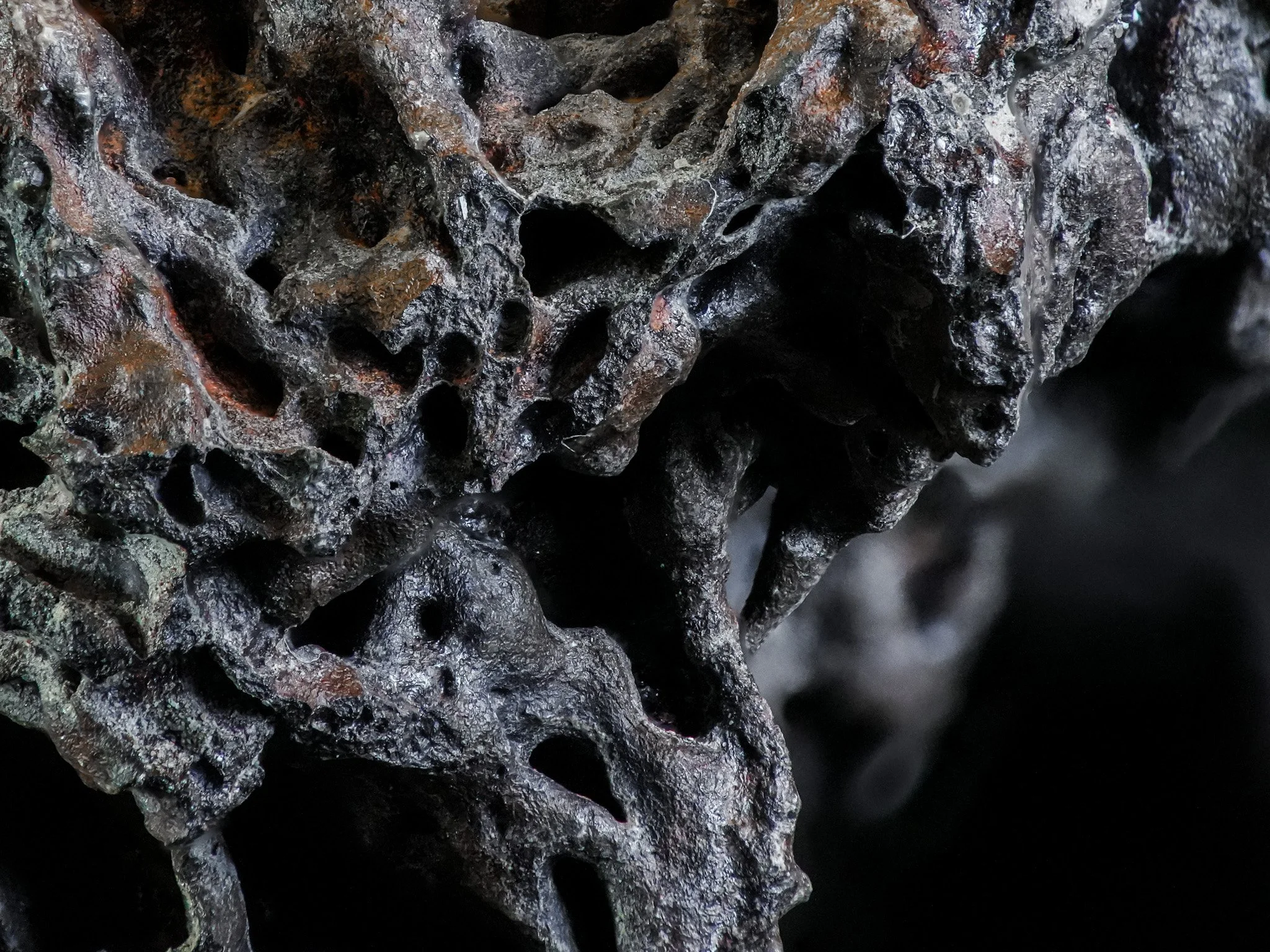 2026-02-13 17-08-21 (B,R8,S1) 2.jpg