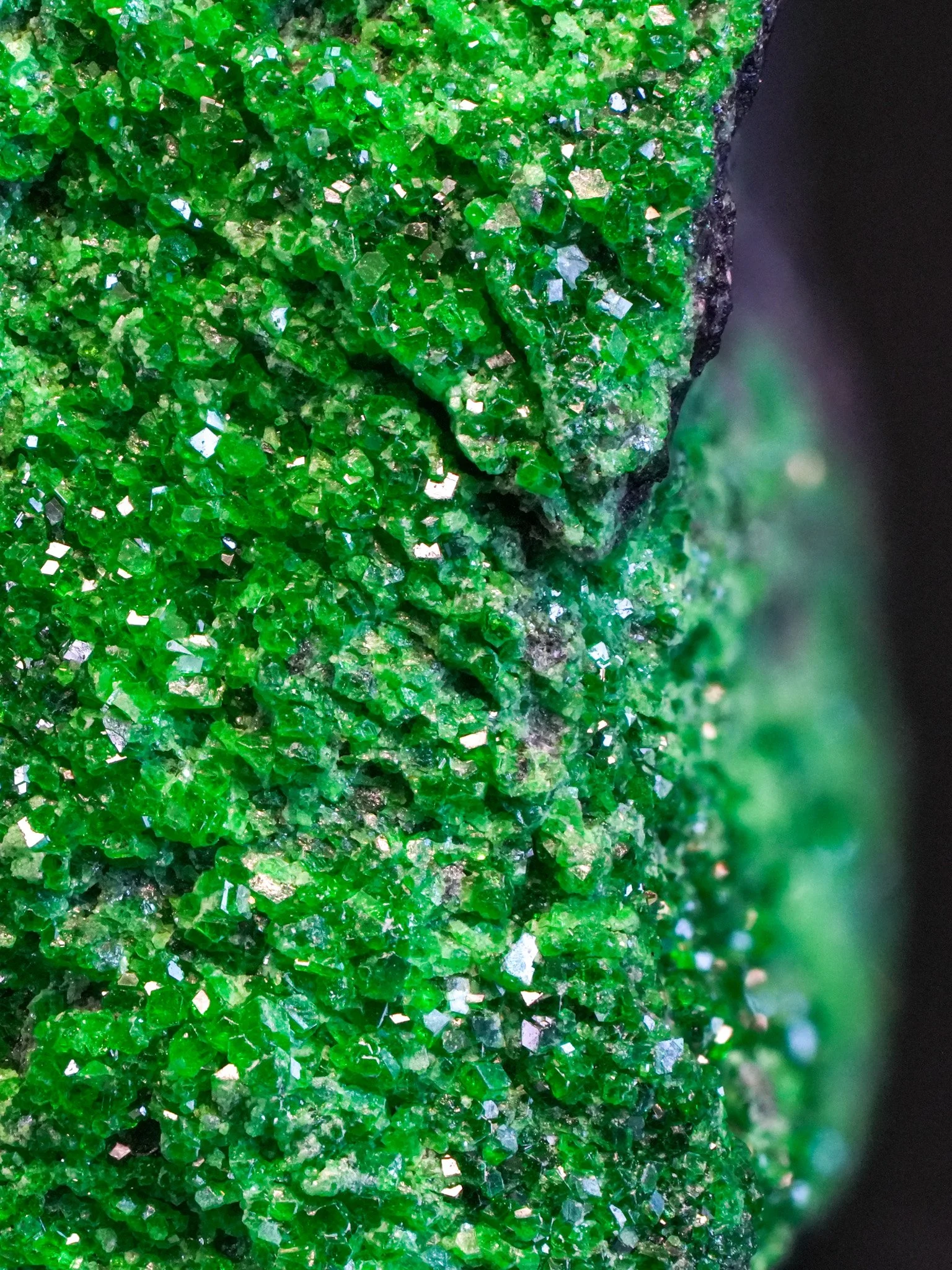 2026-04-20 13-42-24 (B,R8,S4).jpg