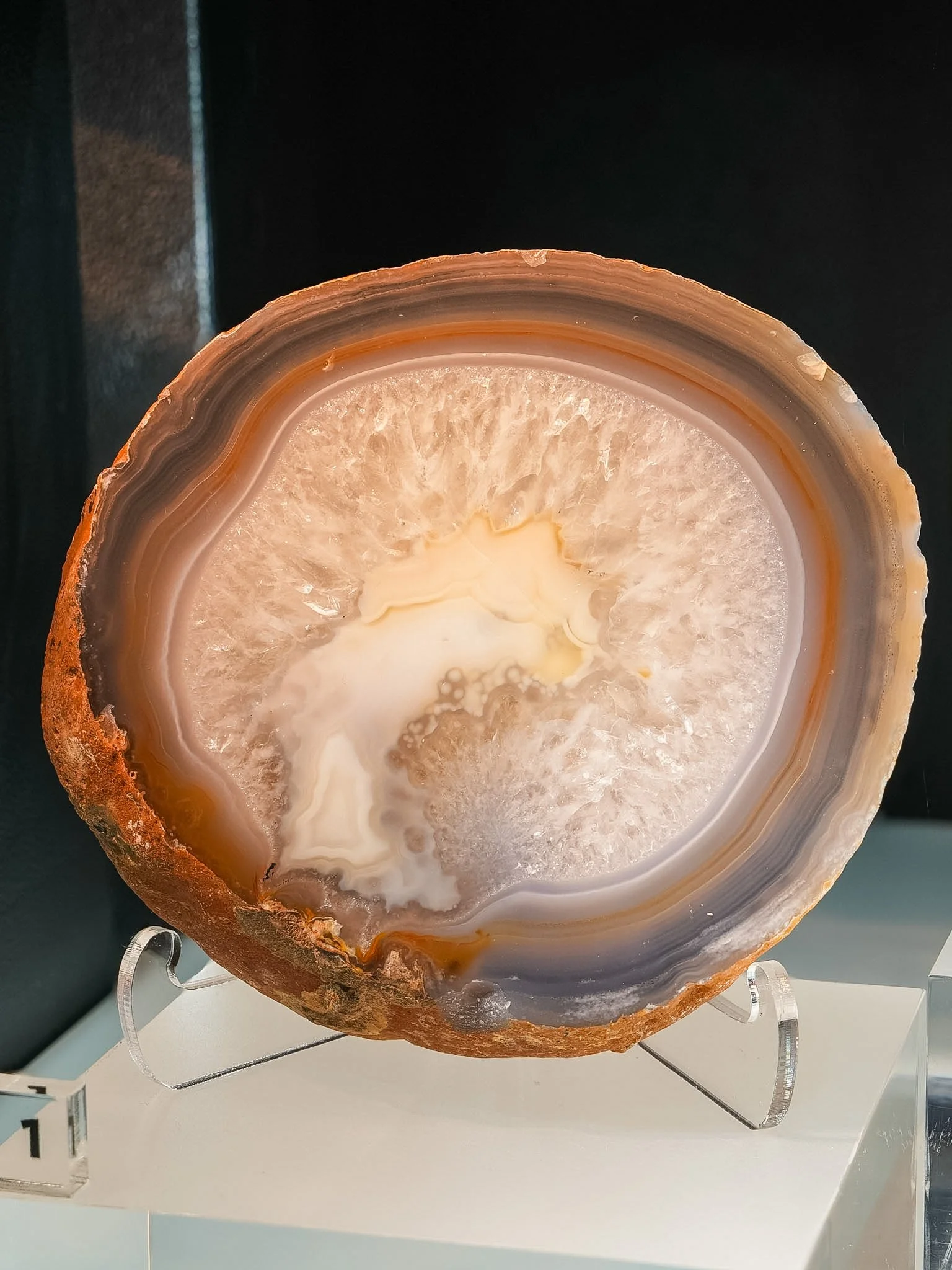 2026-02-27 12-44-09 (B,R8,S1).jpg