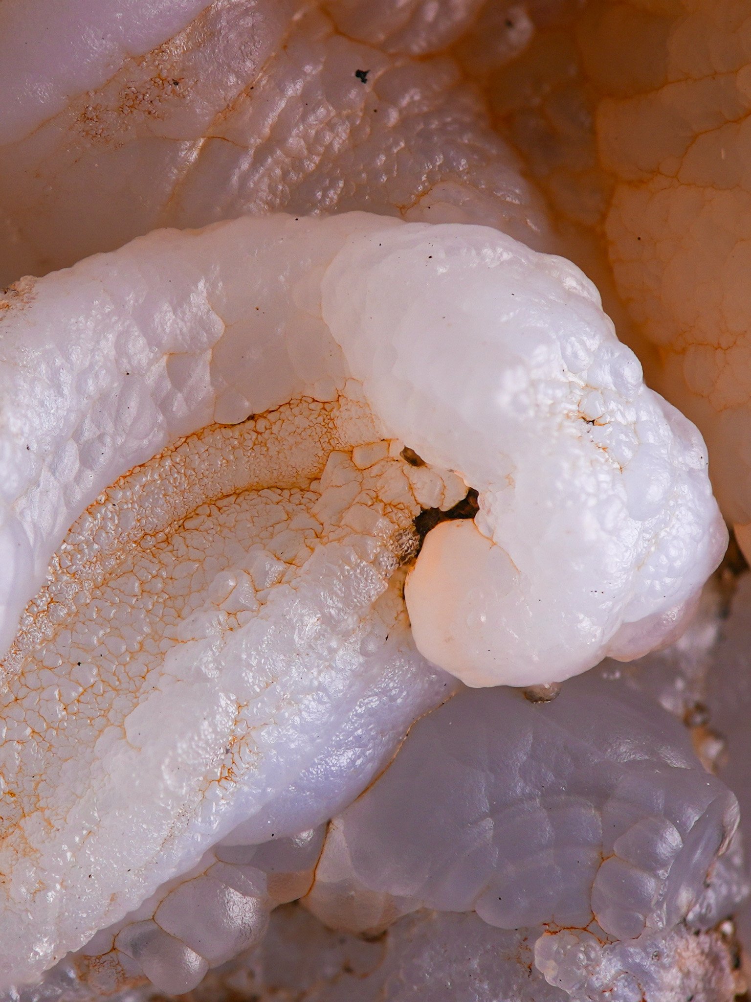 2026-01-07 15-41-52 (B,R8,S4).jpg