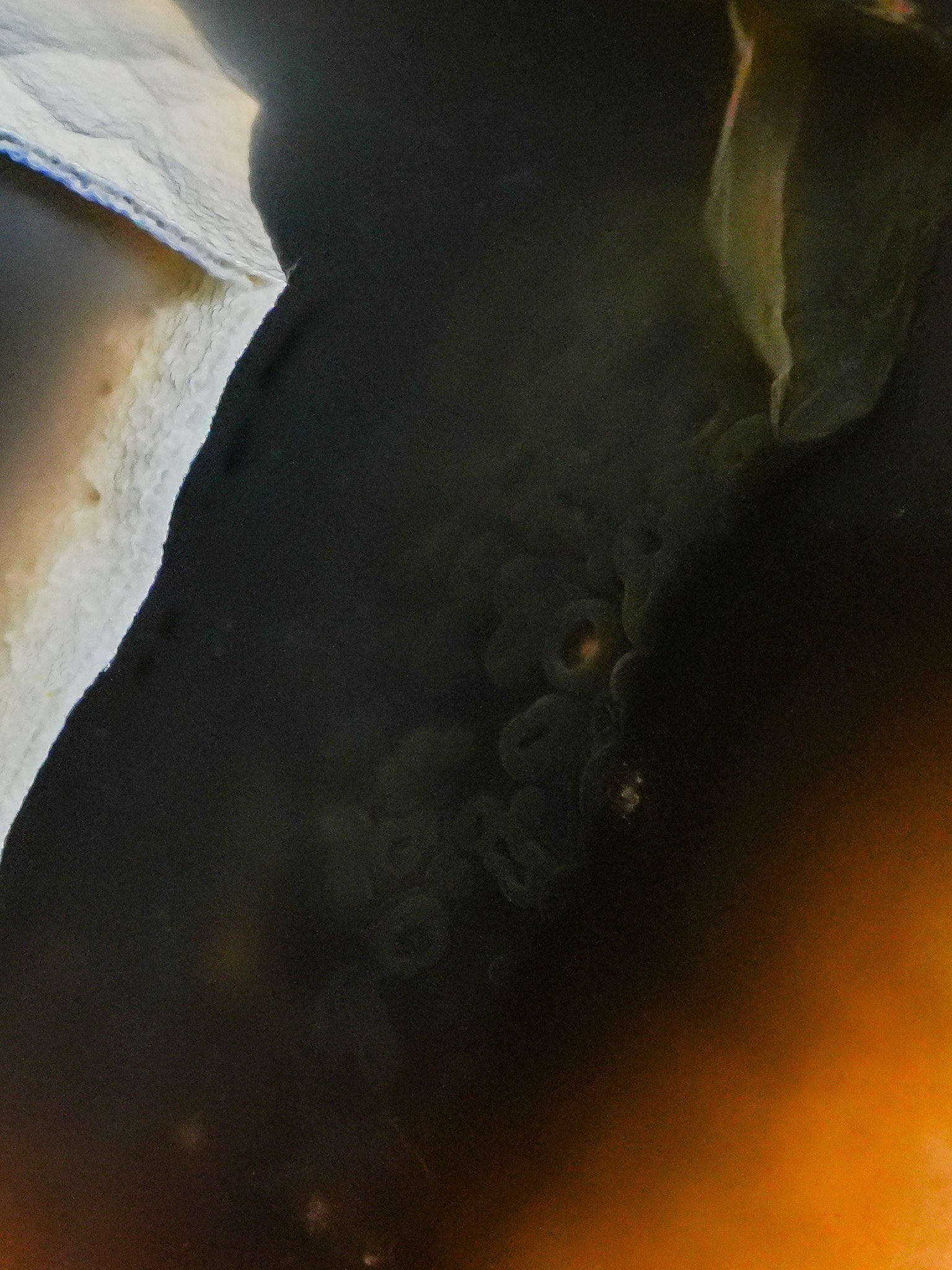 2026-04-15 15-49-11 (B,R8,S3).jpg