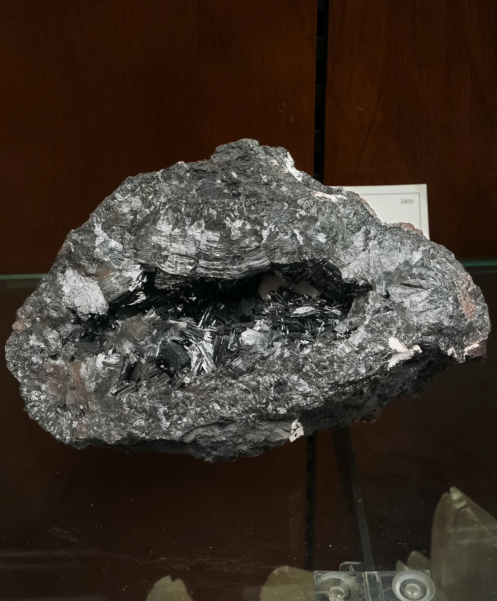 2026-03-05 15-07-44 (B,R8,S1).jpg