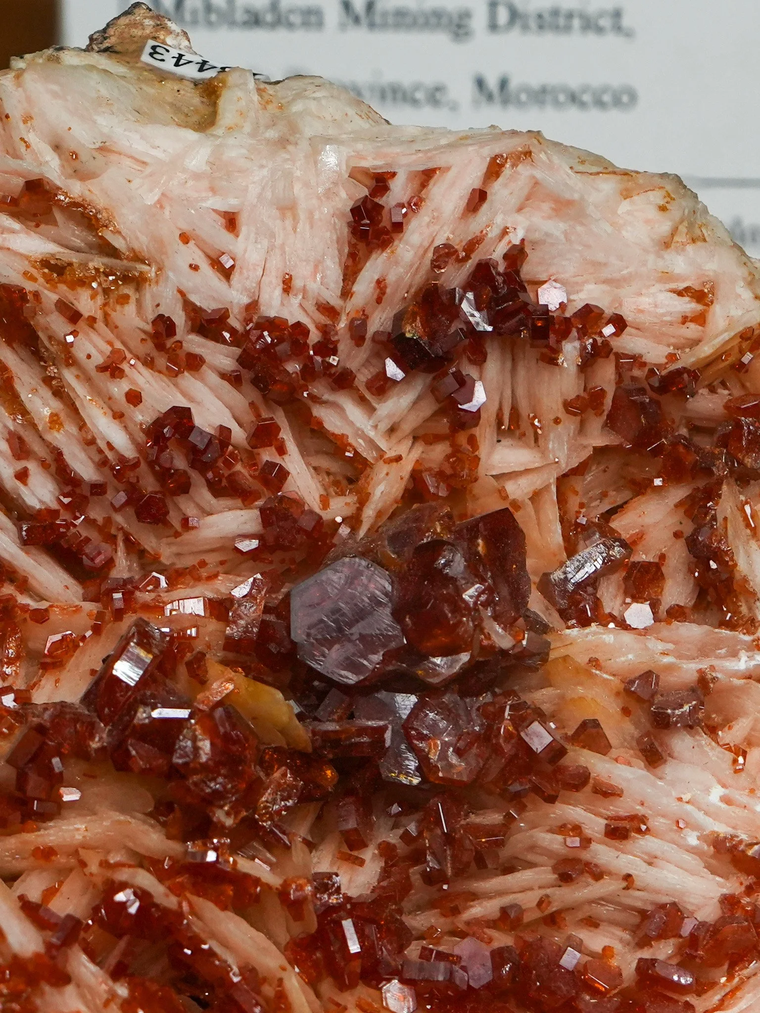 2026-03-05 15-13-25 (B,R8,S1).jpg