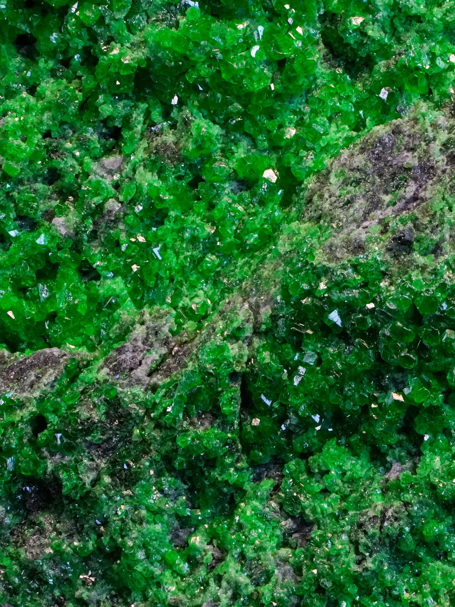 2026-04-20 13-30-02 (B,R8,S4).jpg