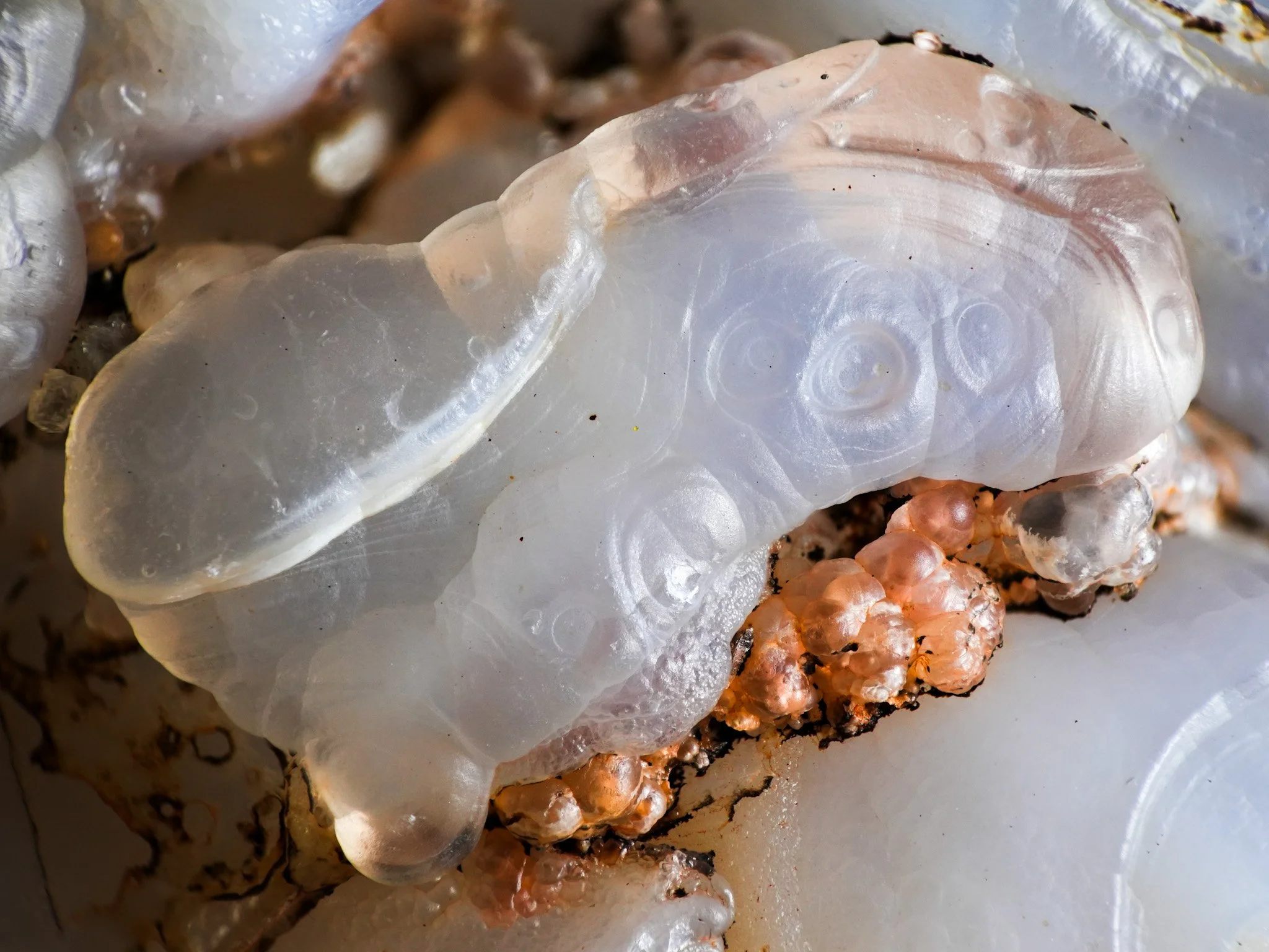 2026-01-02 12-09-22 (B,R8,S4) 2.jpg