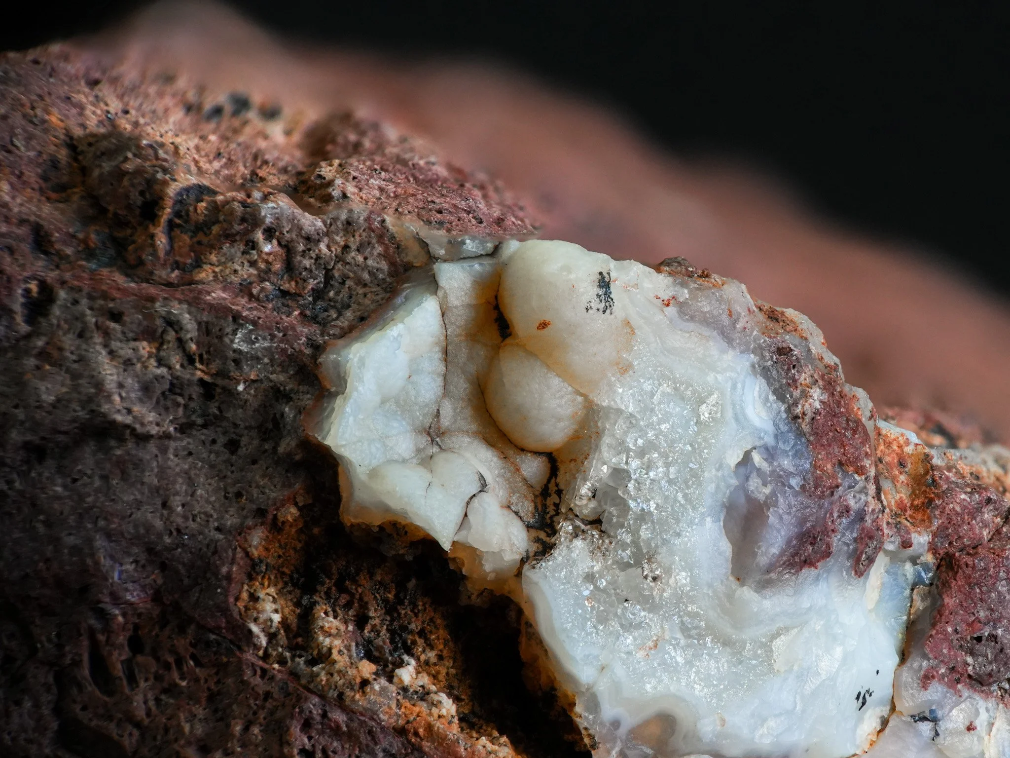 2026-02-01 12-50-08 (B,R8,S4).jpg