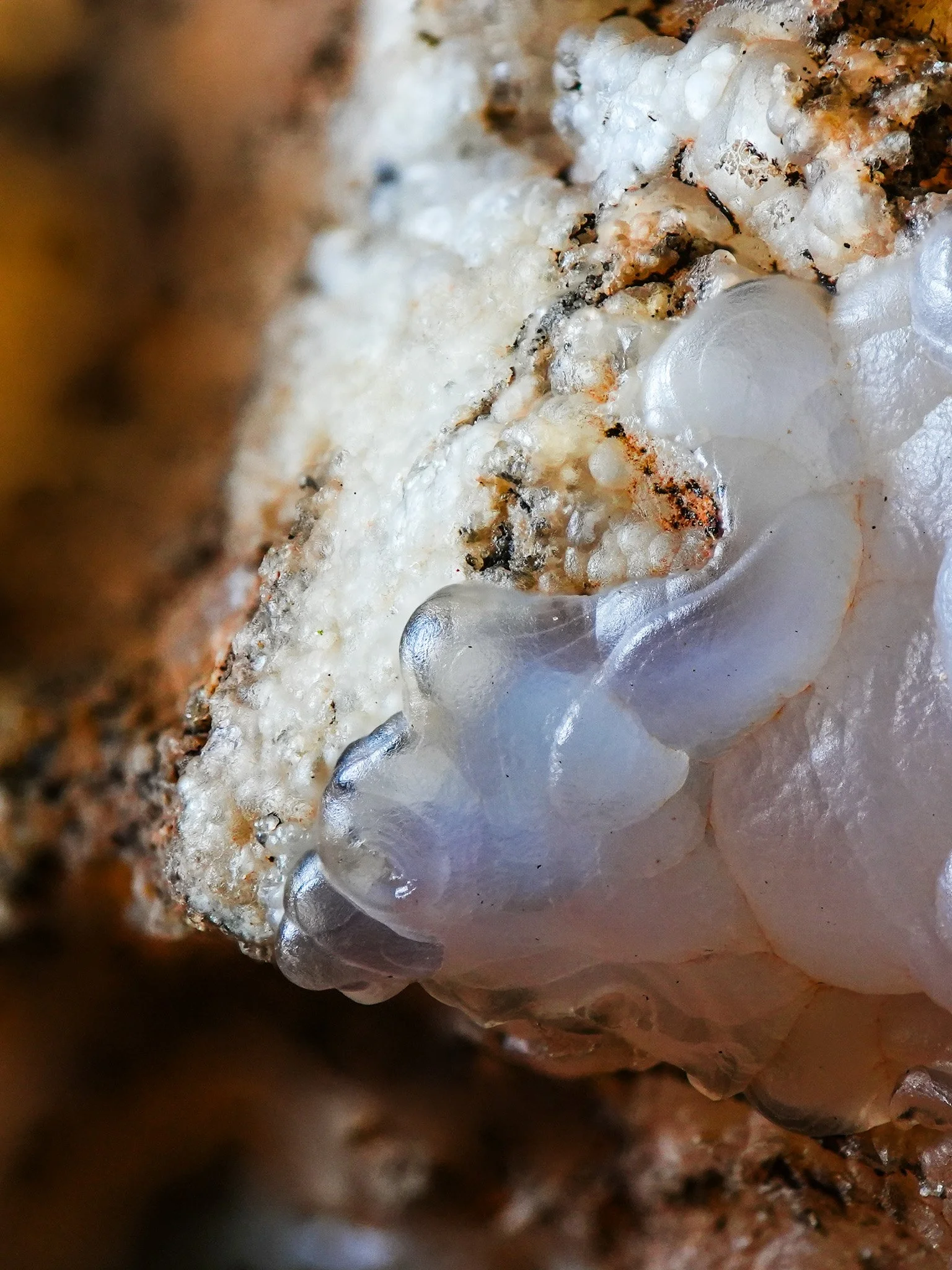 2026-02-06 17-25-34 (B,R8,S4) 2.jpg