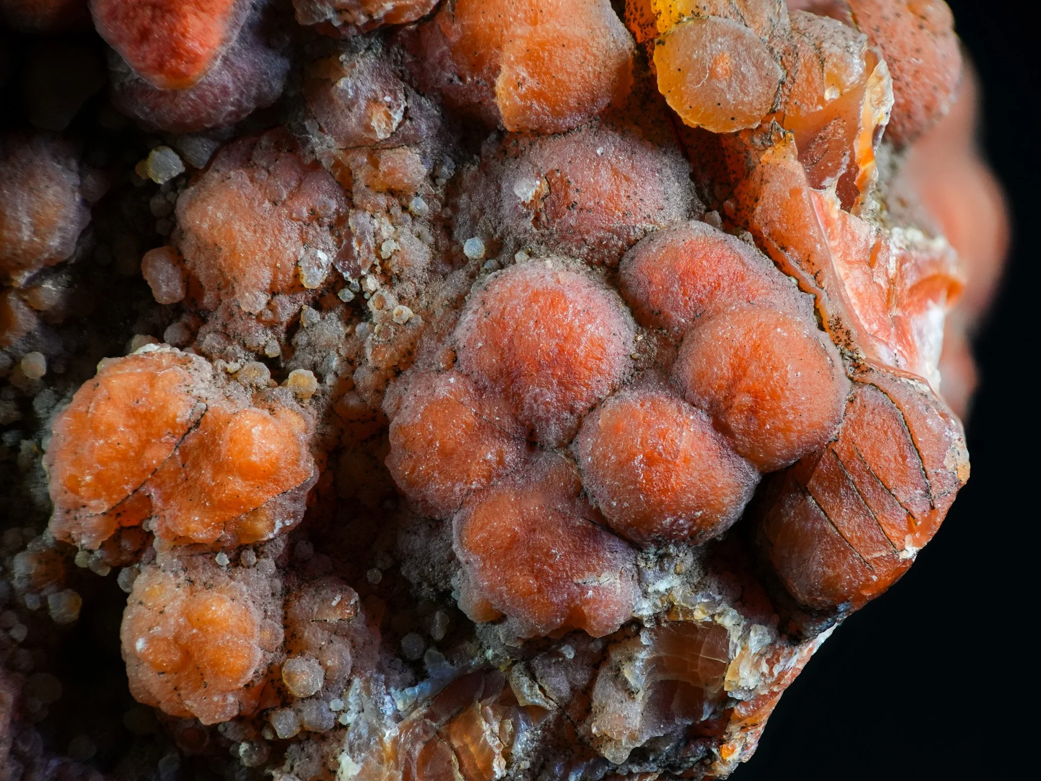 2026-02-19 12-09-43 (B,R8,S1).jpg