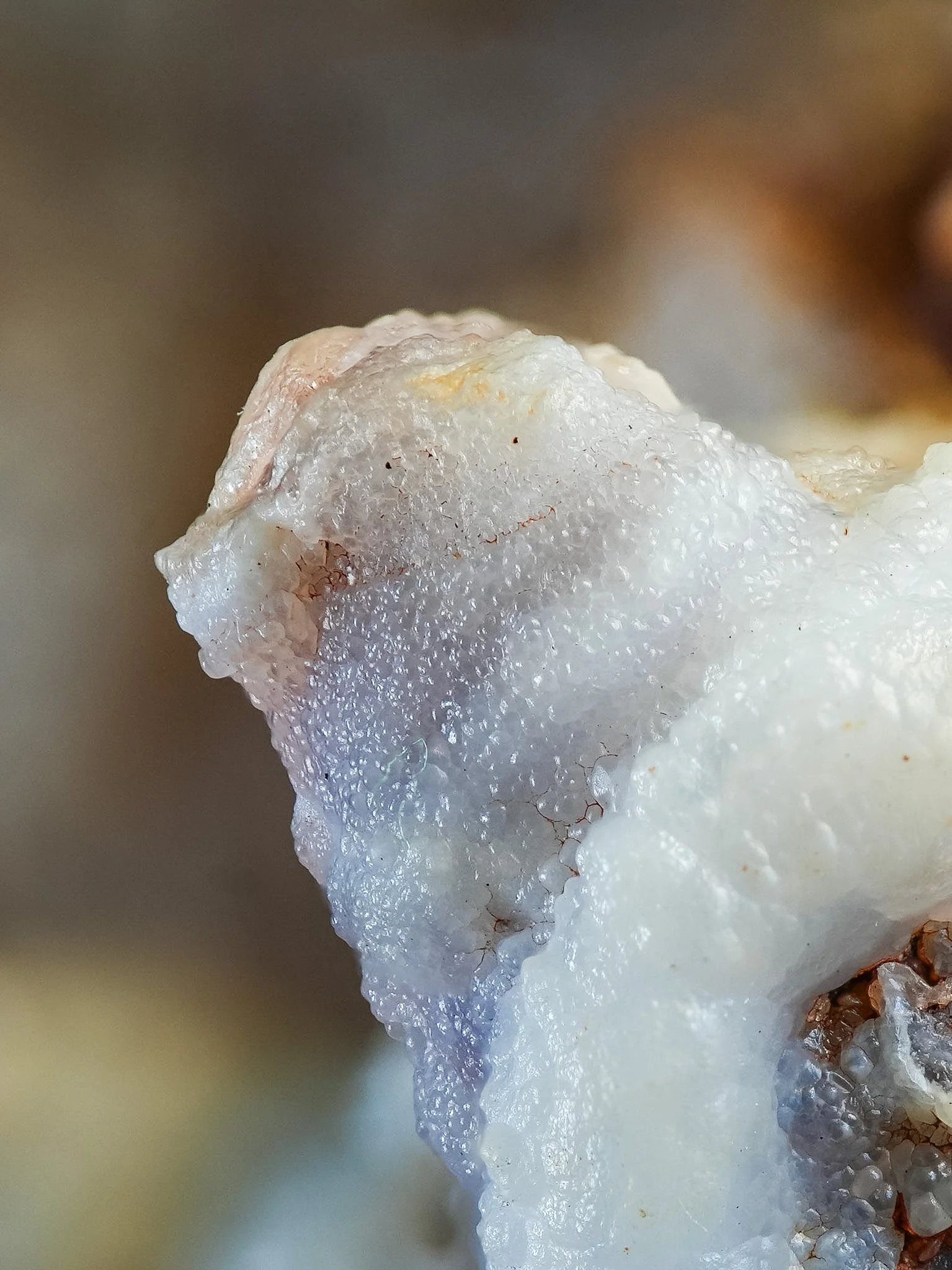 2026-02-26 15-25-48 (B,R8,S1).jpg