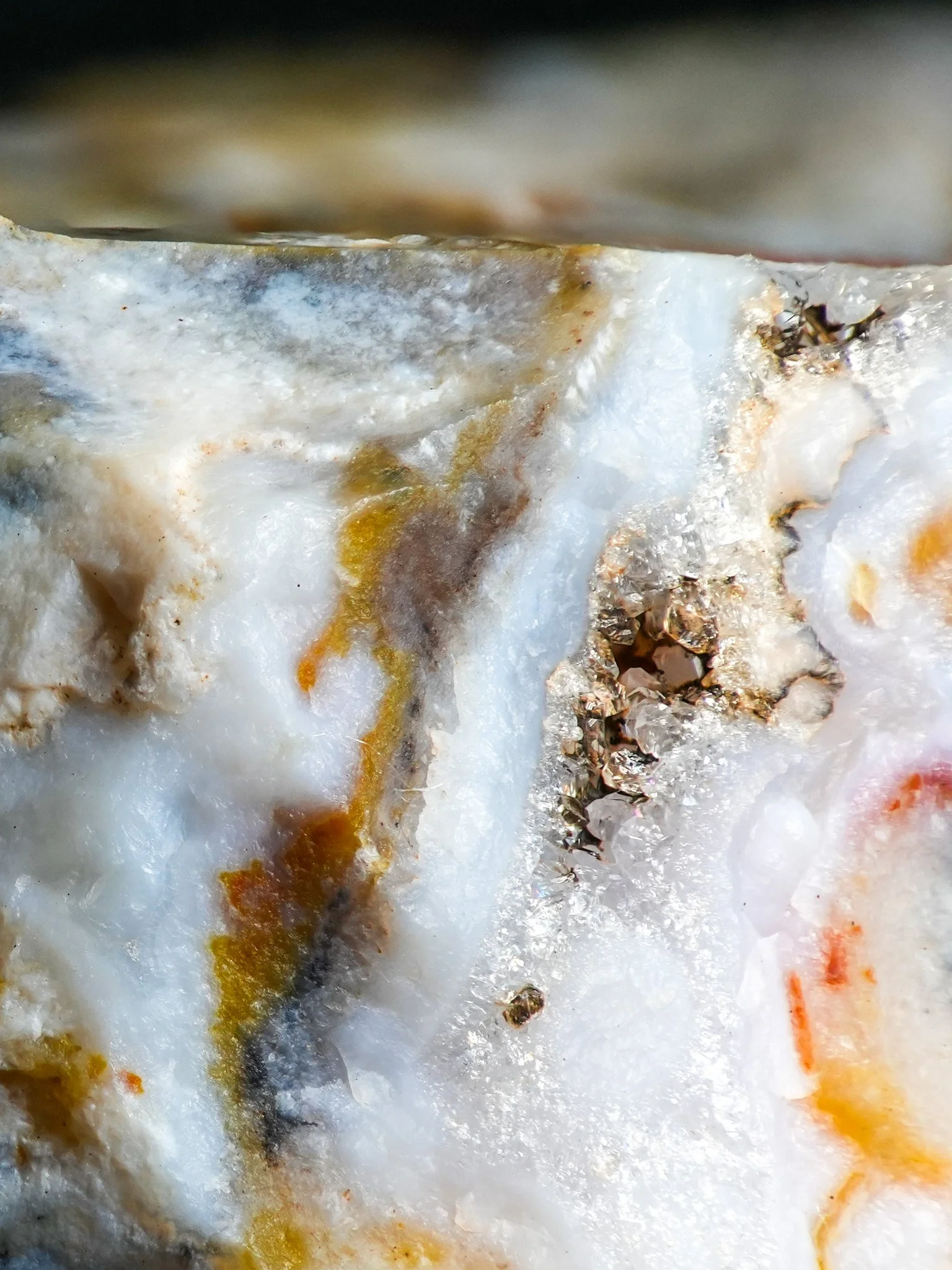 2026-02-17 15-11-28 (B,R8,S1).jpg