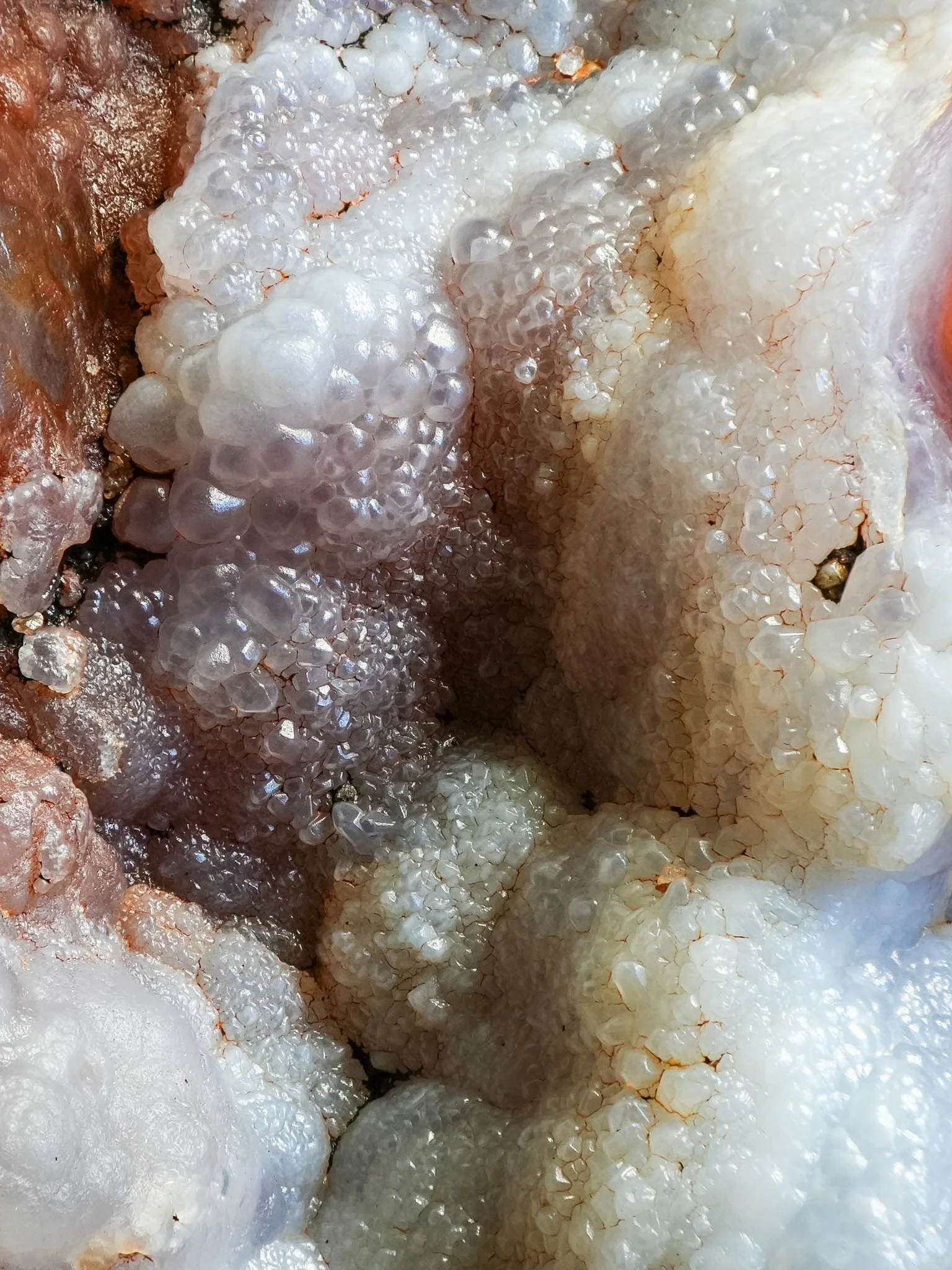 2026-02-26 15-49-12 (B,R8,S1).jpg