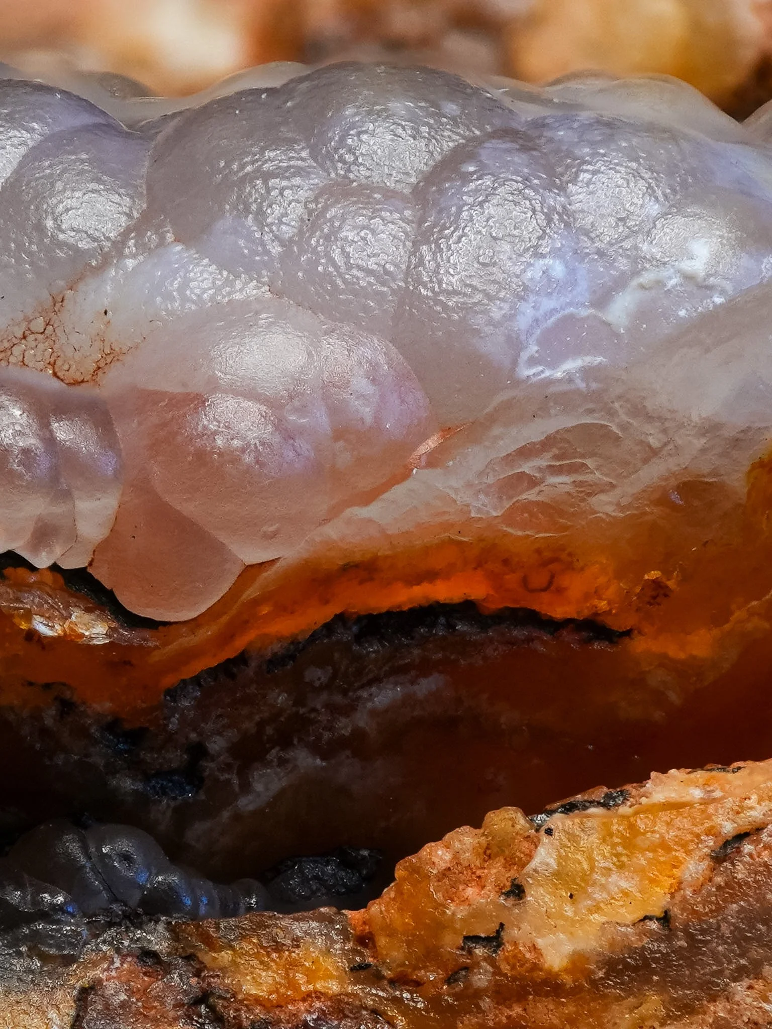 2026-02-26 15-44-48 (B,R8,S1).jpg