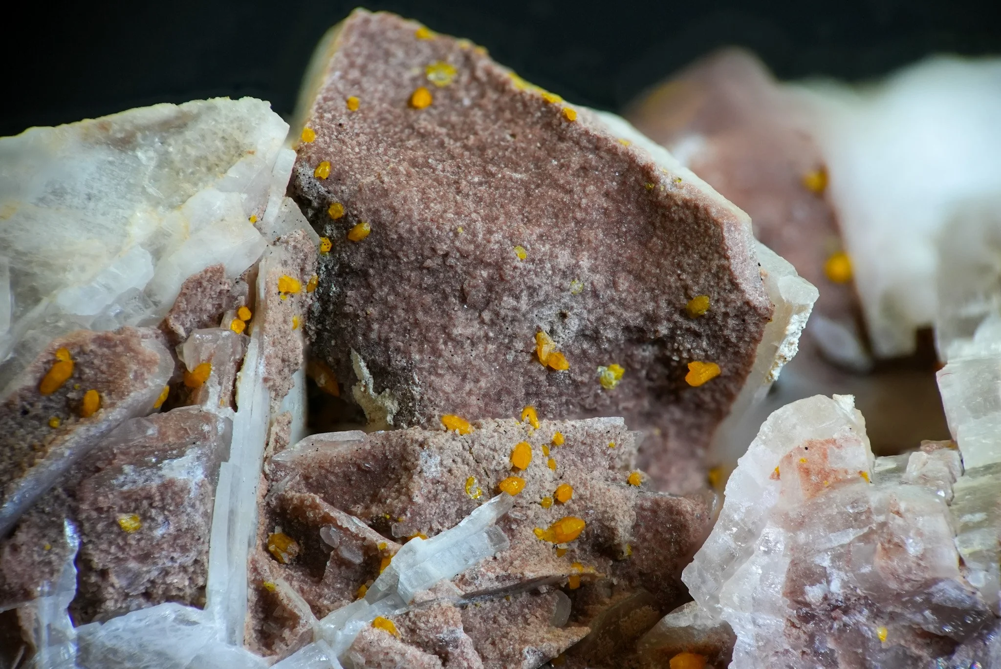 2026-01-20 15-10-11 (B,R8,S4).jpg