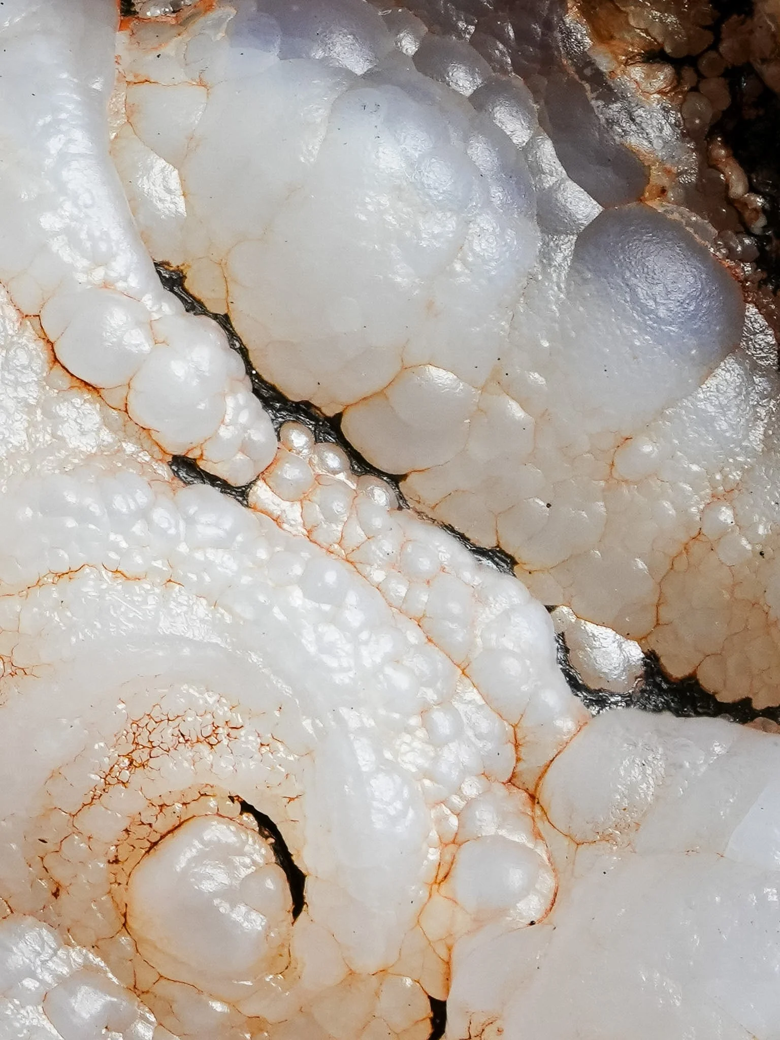 2026-03-12 13-19-03 (B,R8,S1).jpg