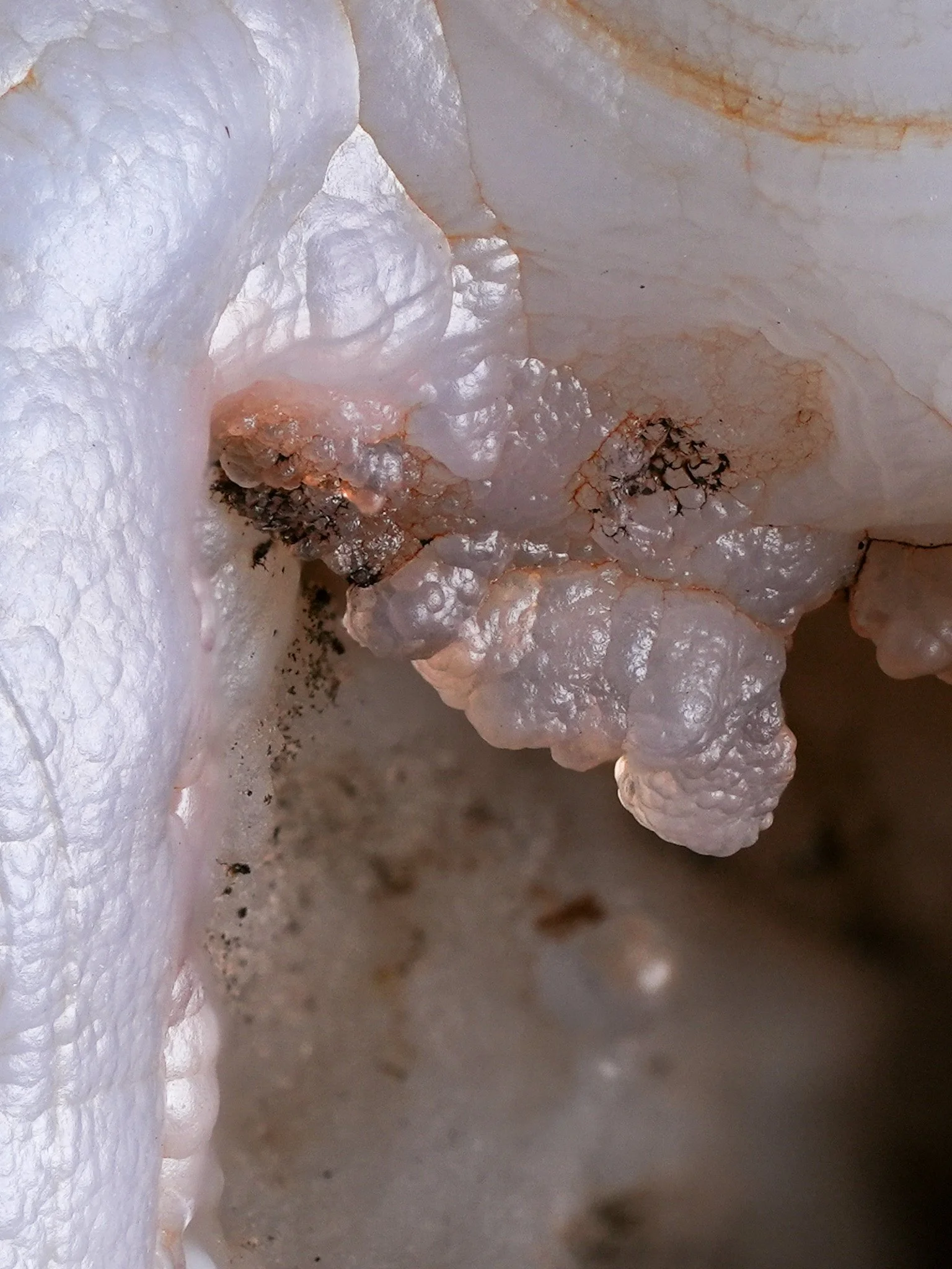 2026-01-06 15-10-26 (B,R8,S4).jpg