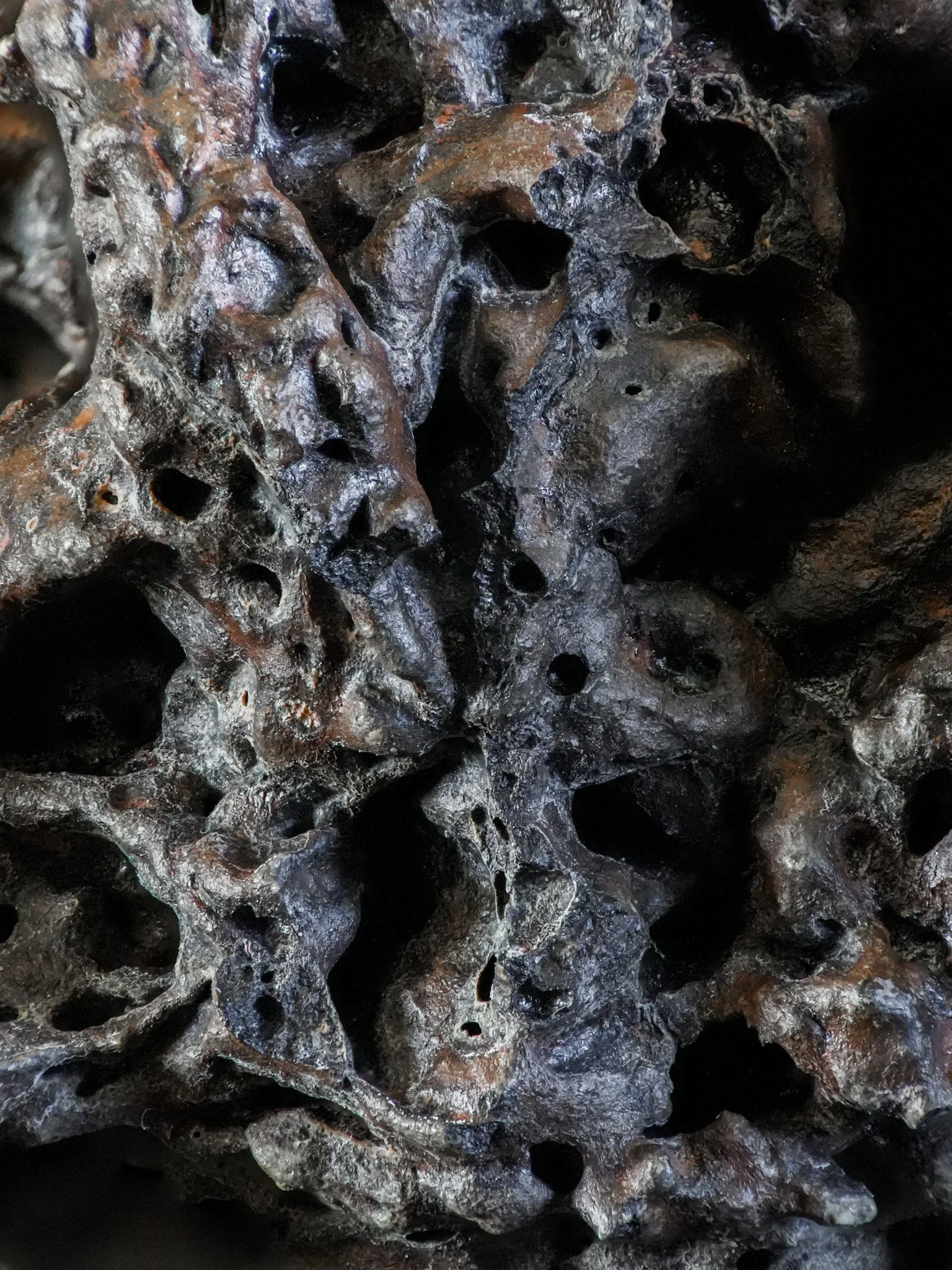 2026-02-13 17-09-35 (B,R8,S1).jpg