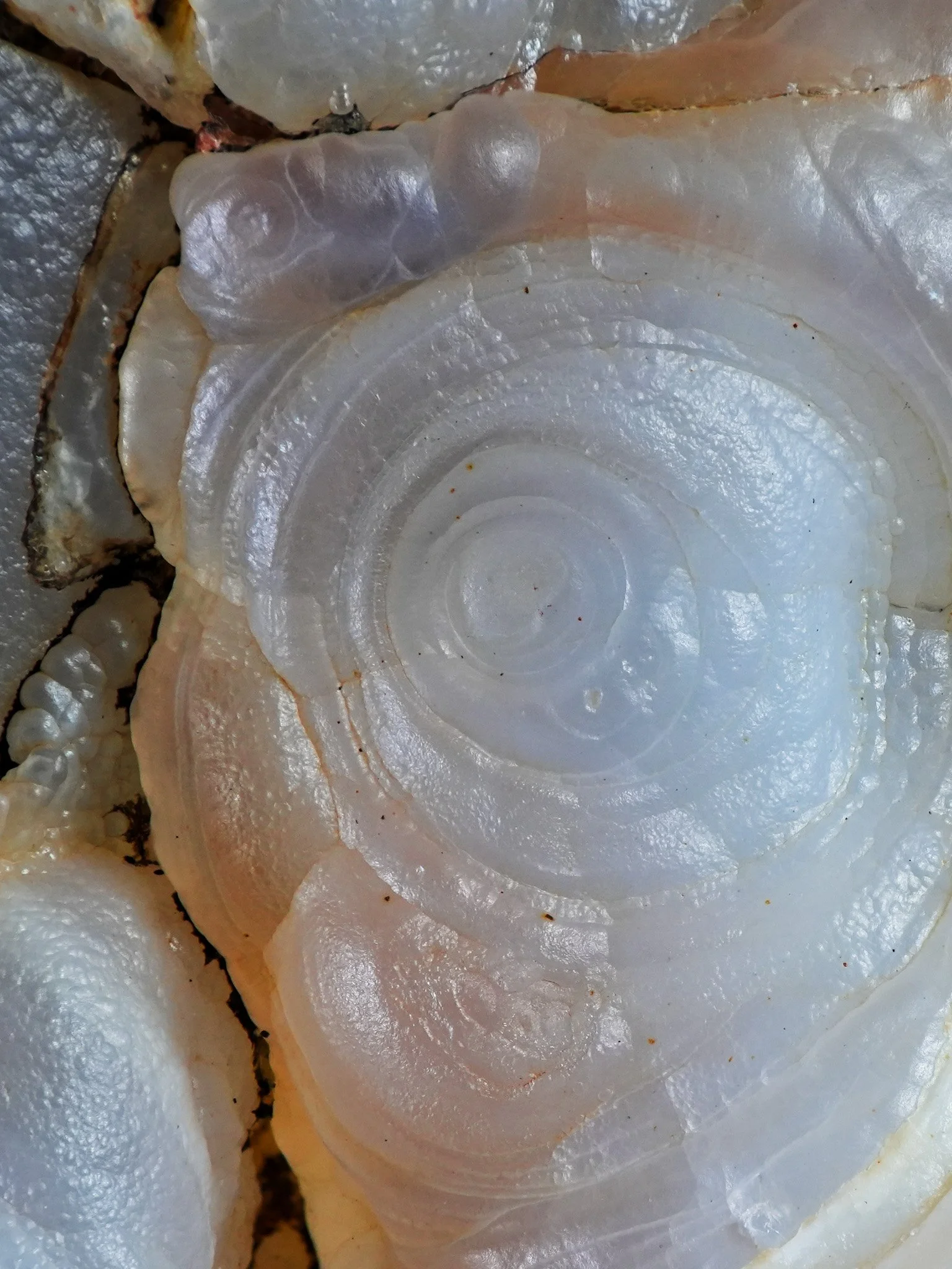 2026-01-02 12-14-32 (B,R8,S4).jpg