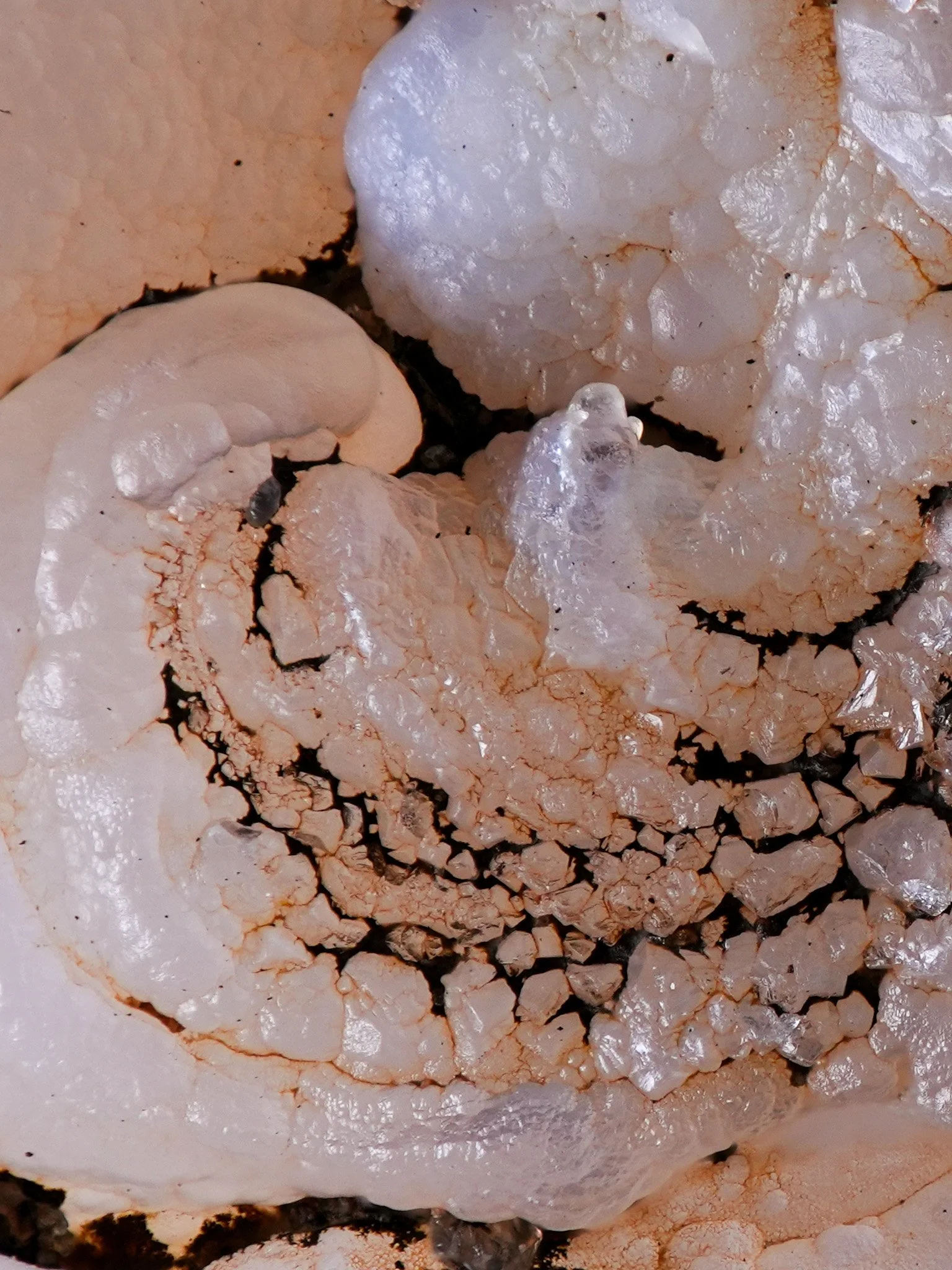 2026-01-29 14-34-36 (B,R8,S4).jpg