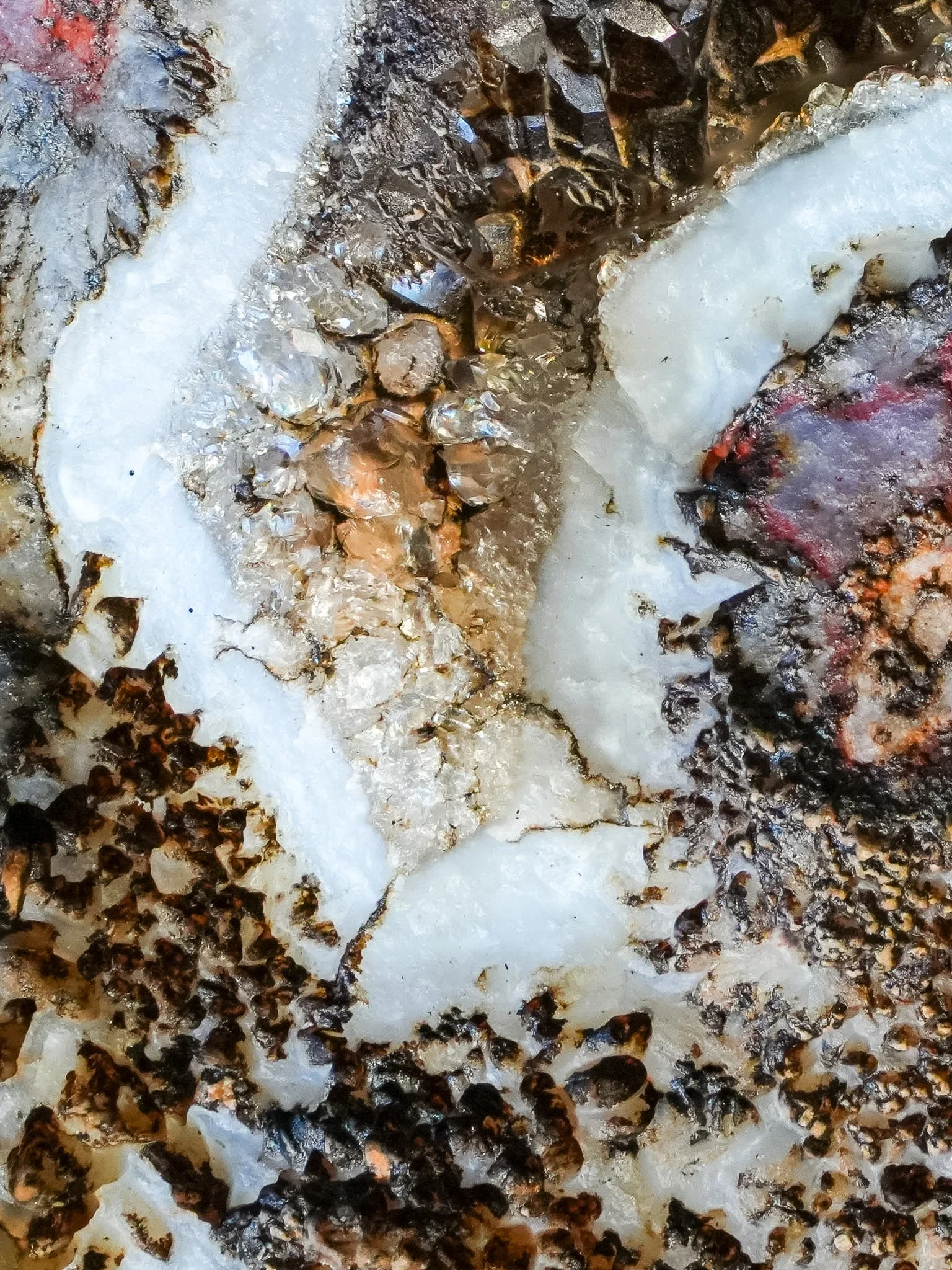 2026-03-19 13-28-19 (B,R8,S1) 2.jpg