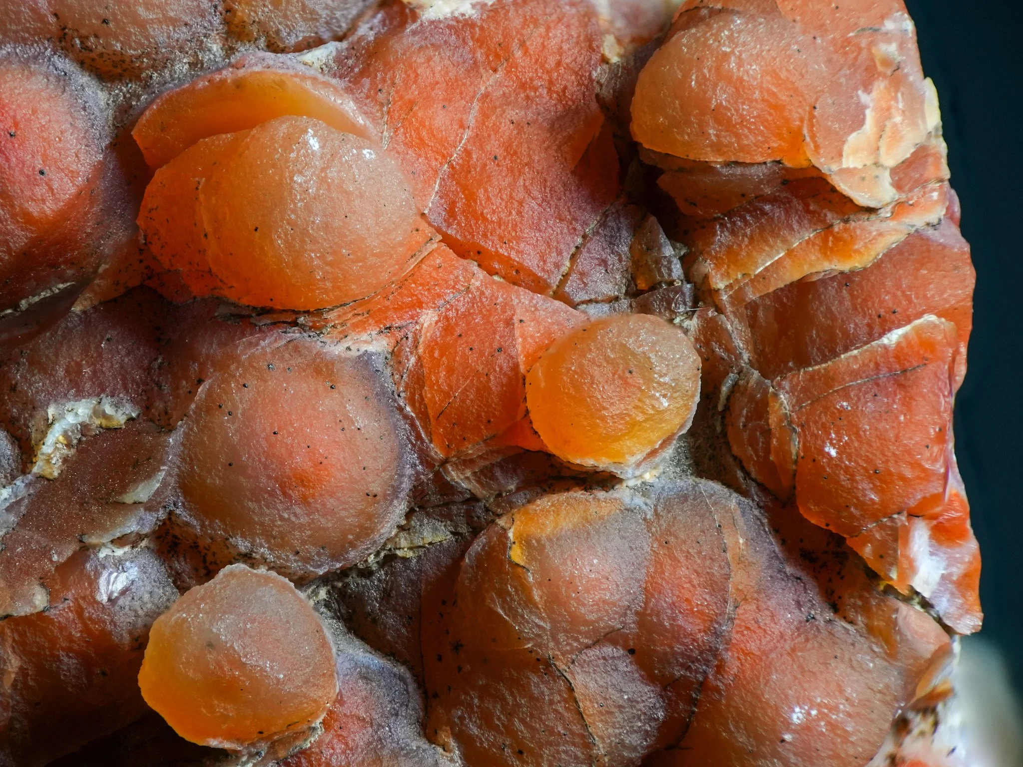 2026-02-19 12-40-09 (B,R8,S1).jpg