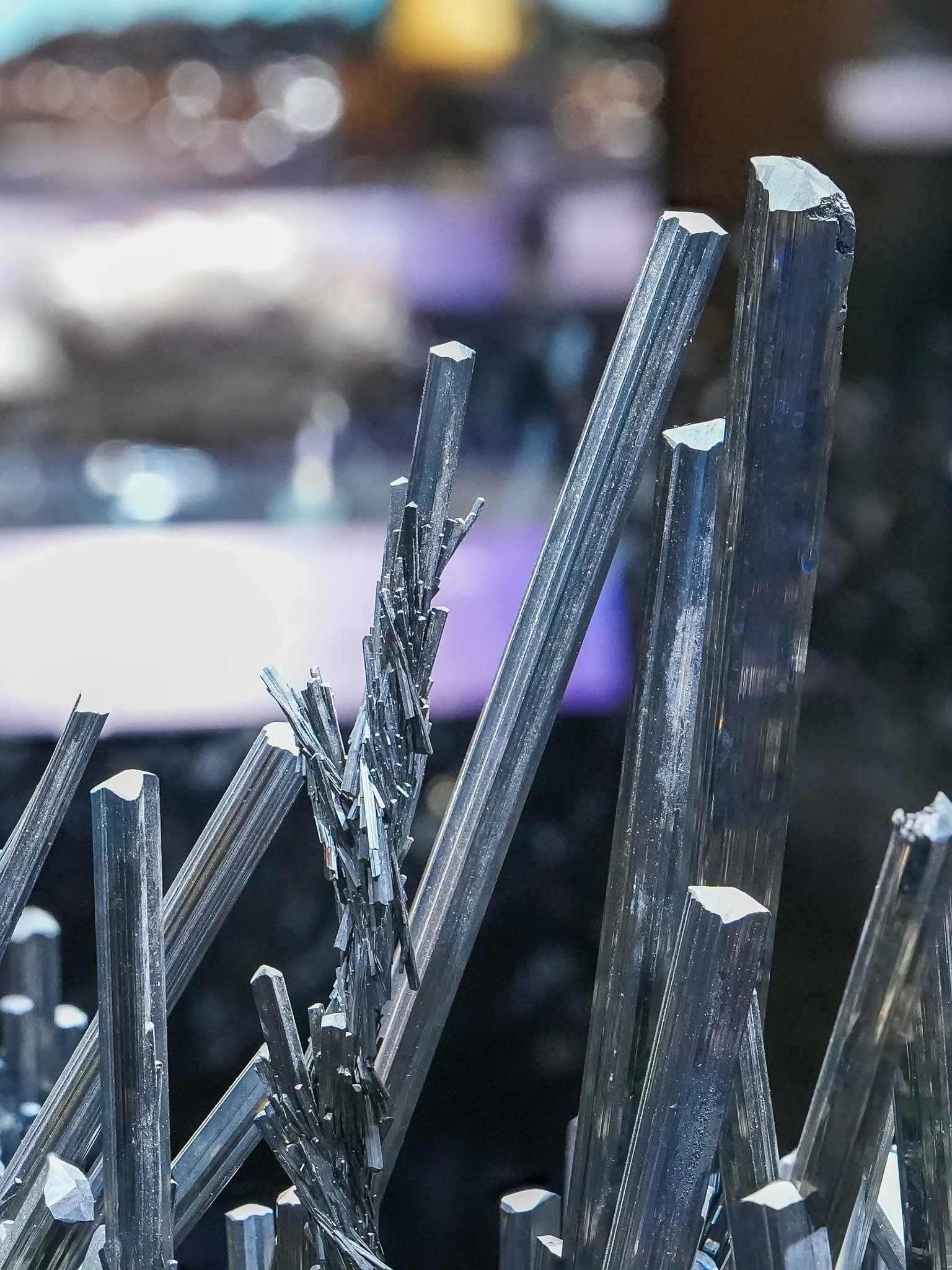 2026-02-27 12-35-43 (B,R8,S1).jpg